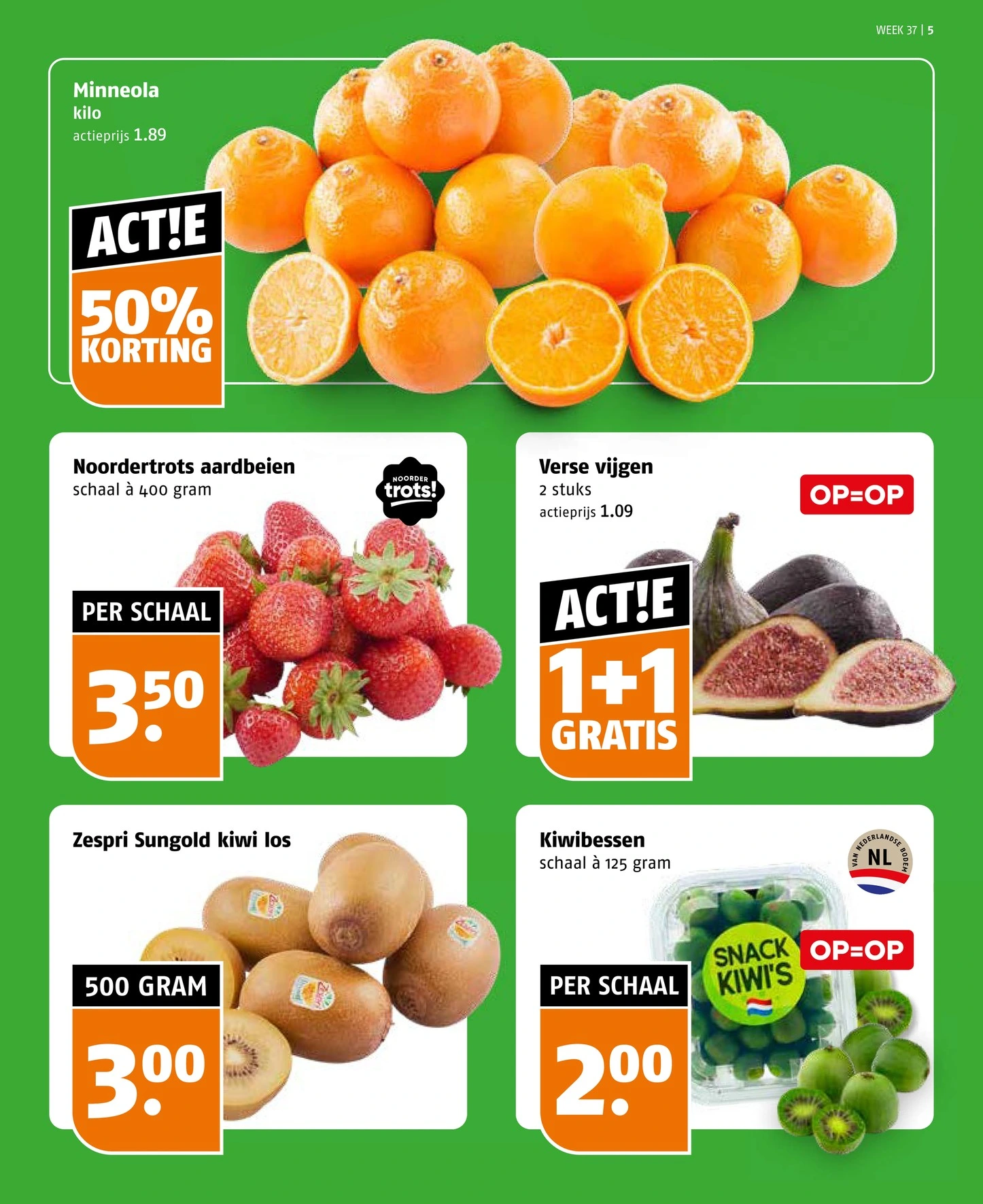 Flyer page 5