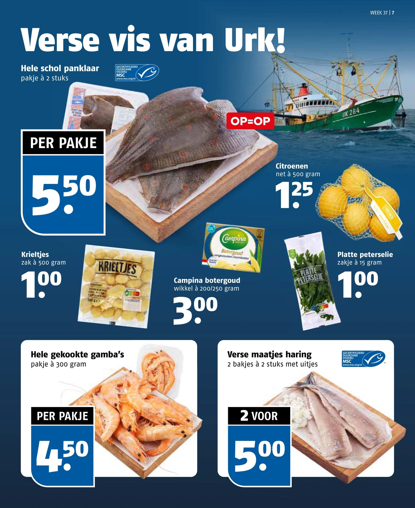Flyer page 7