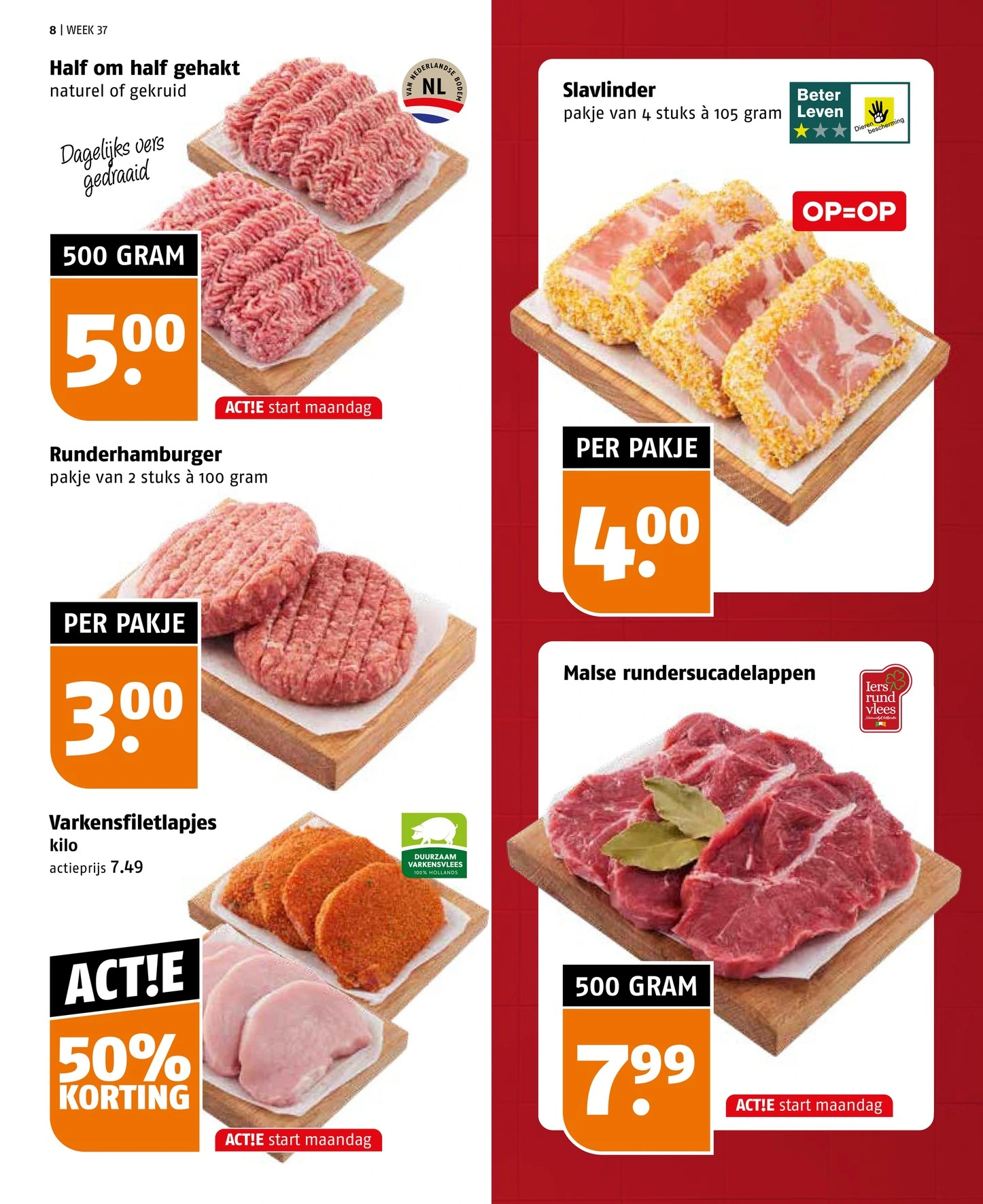 Flyer page 8