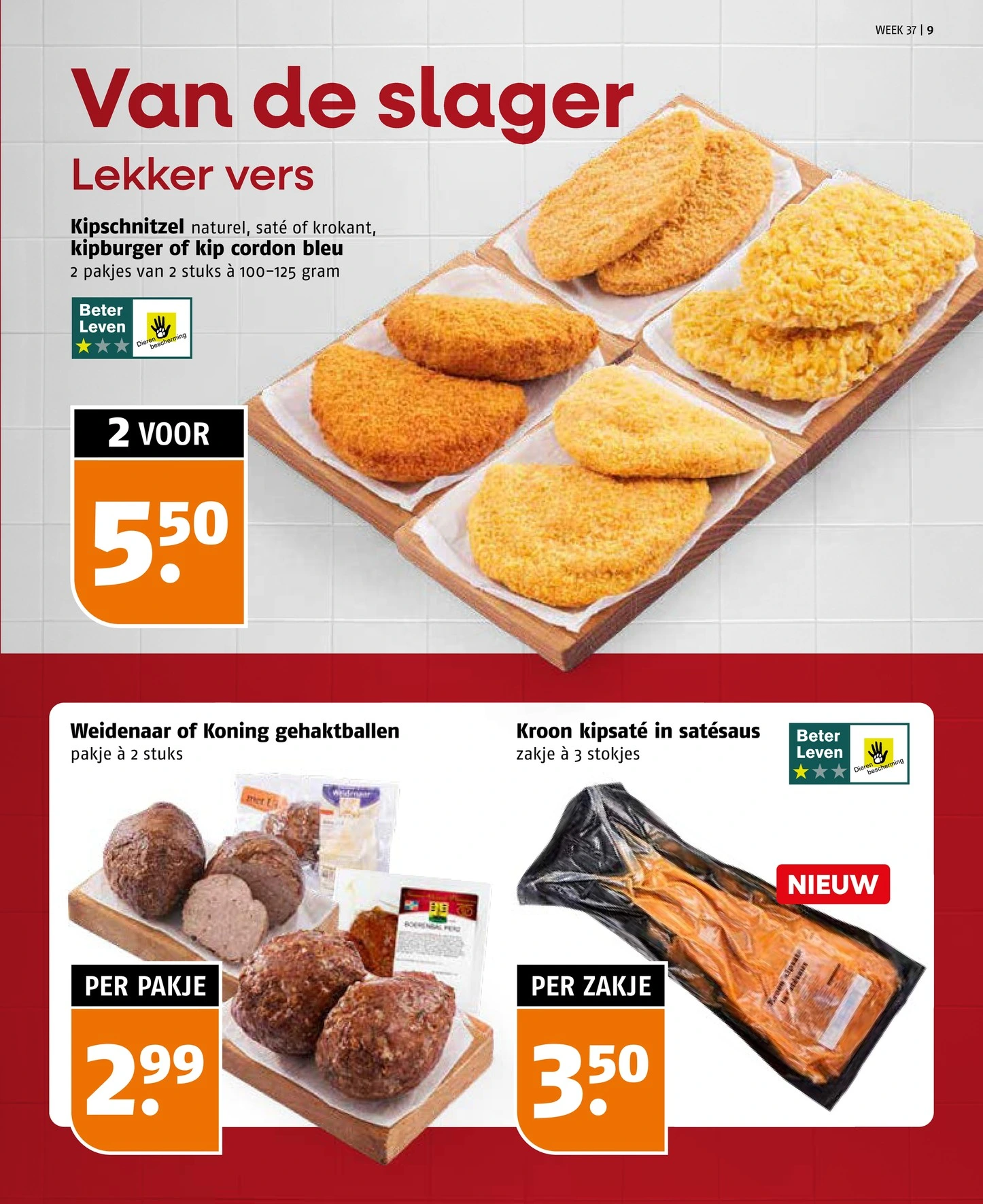 Flyer page 9