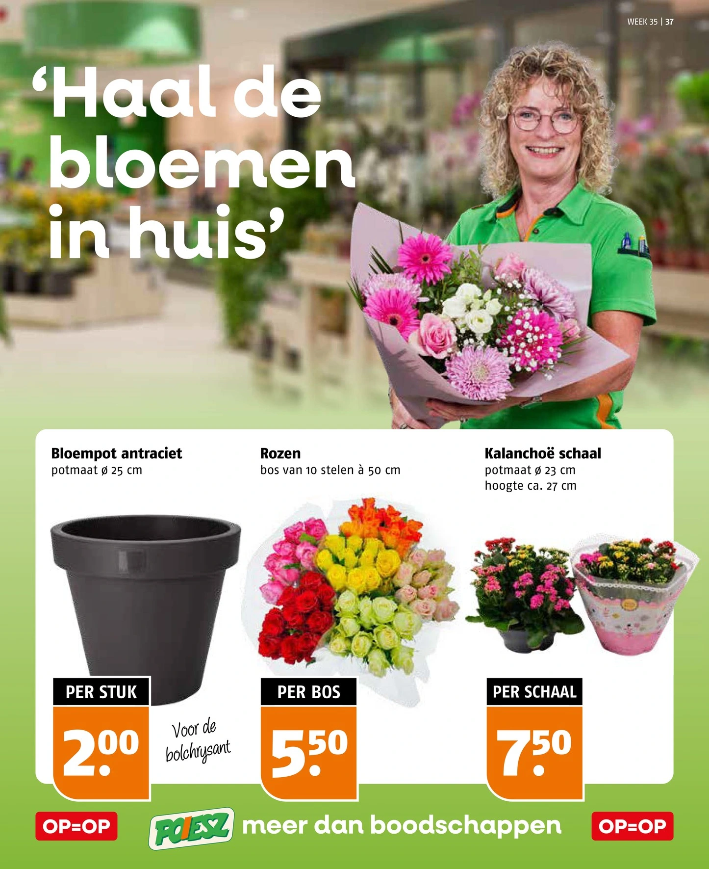 Flyer page 37