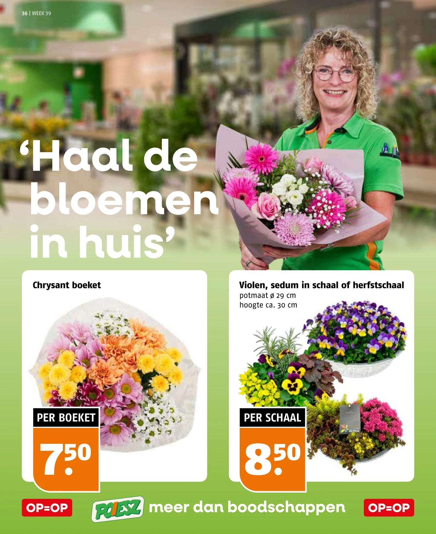 Flyer page 36