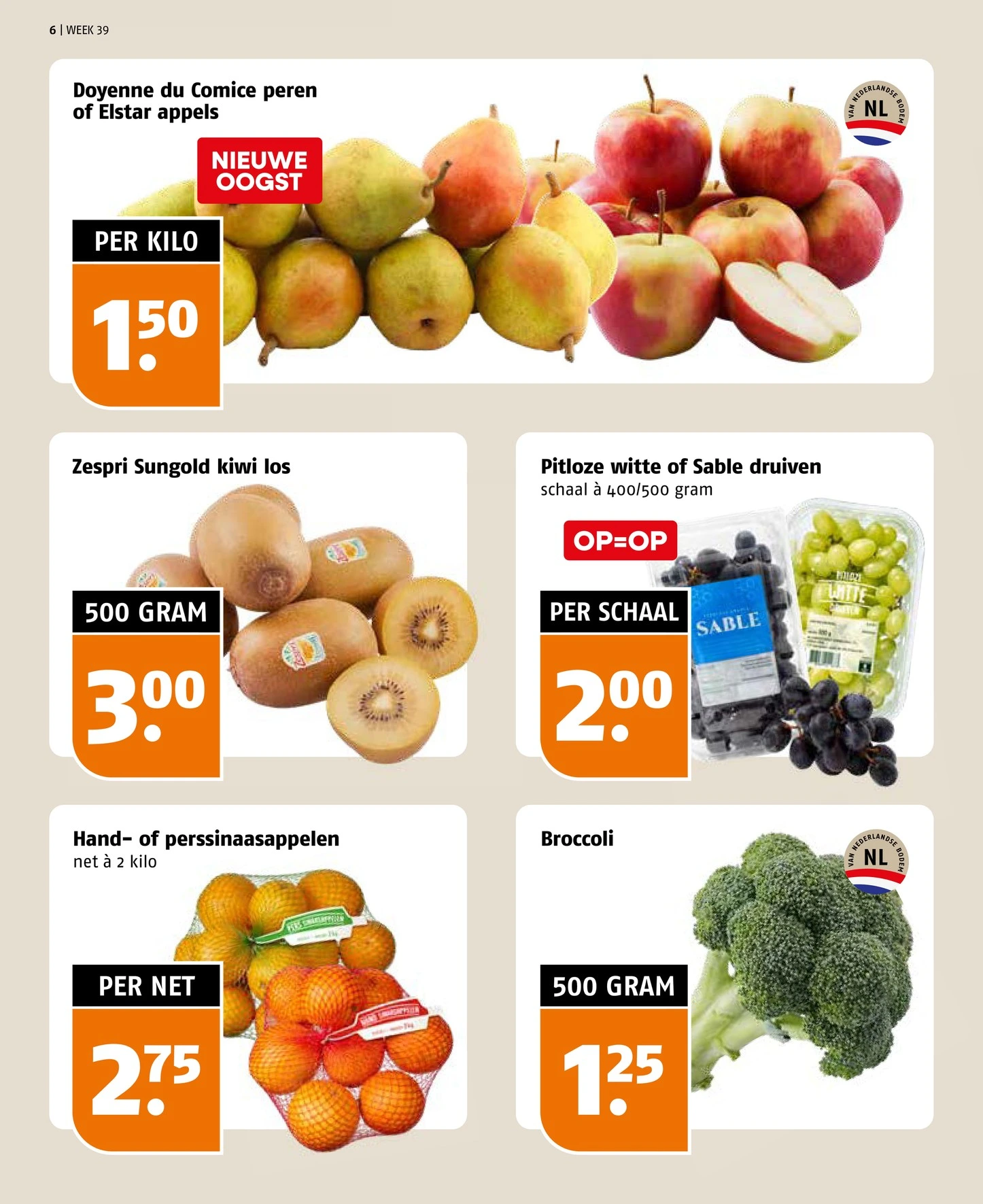 Flyer page 6