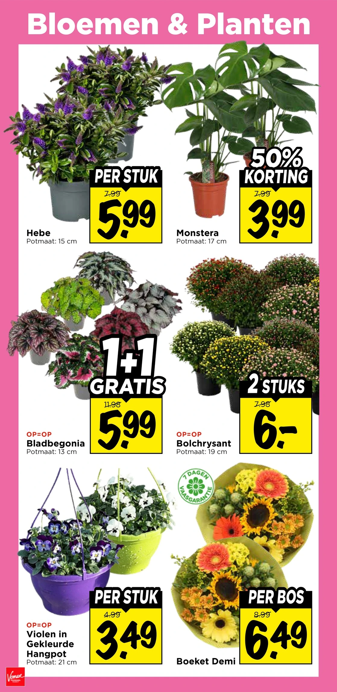 Flyer page 39
