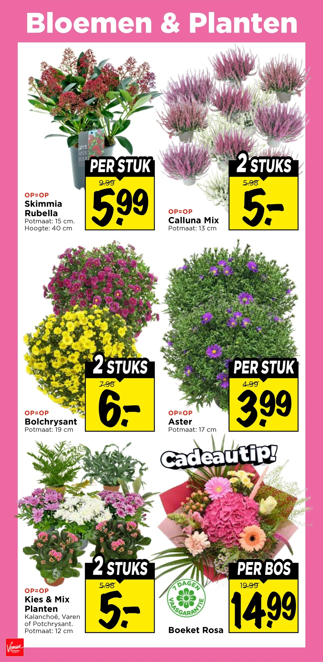 Flyer page 34