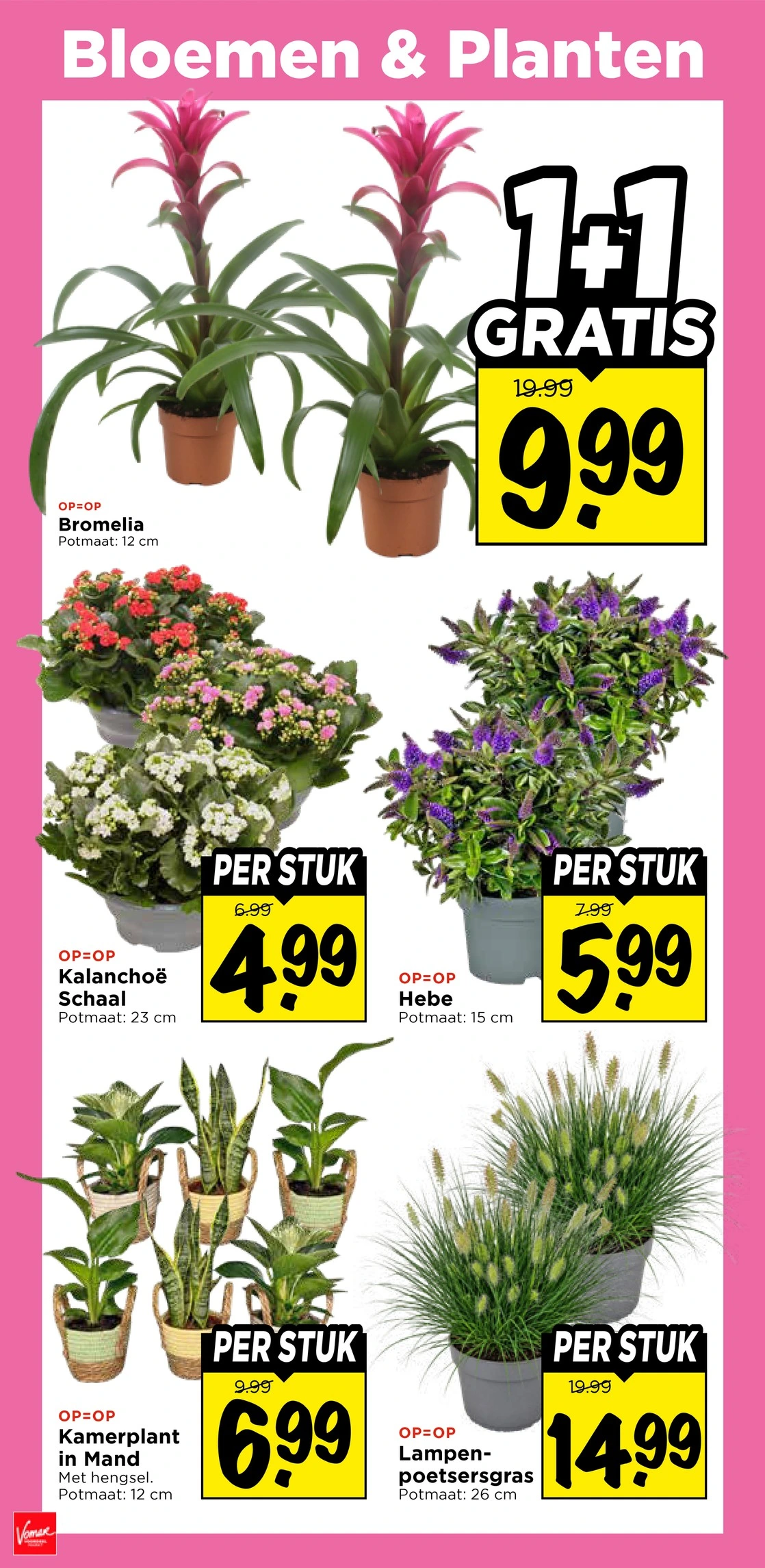 Flyer page 31