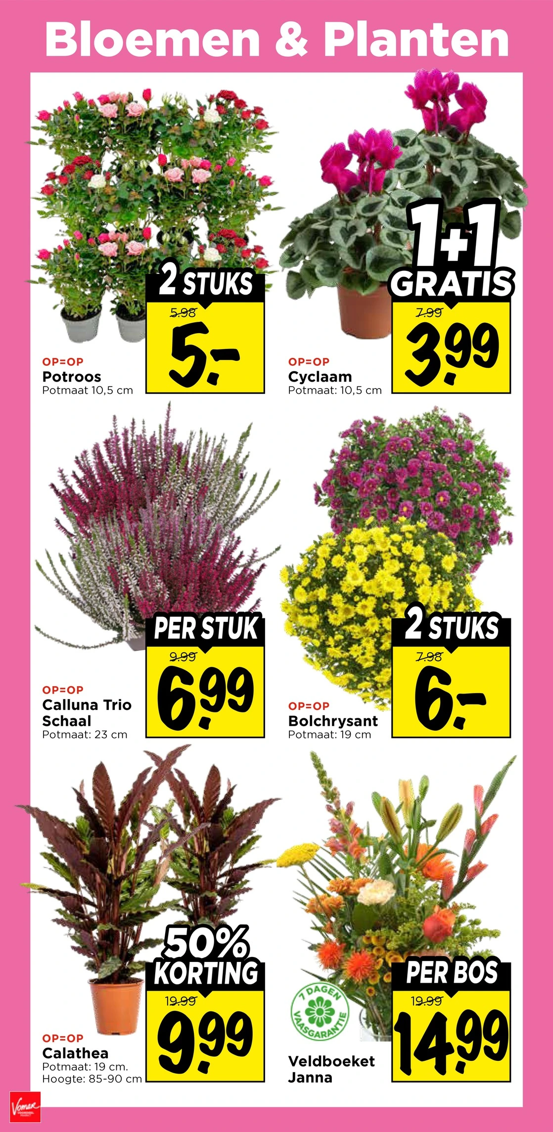 Flyer page 31