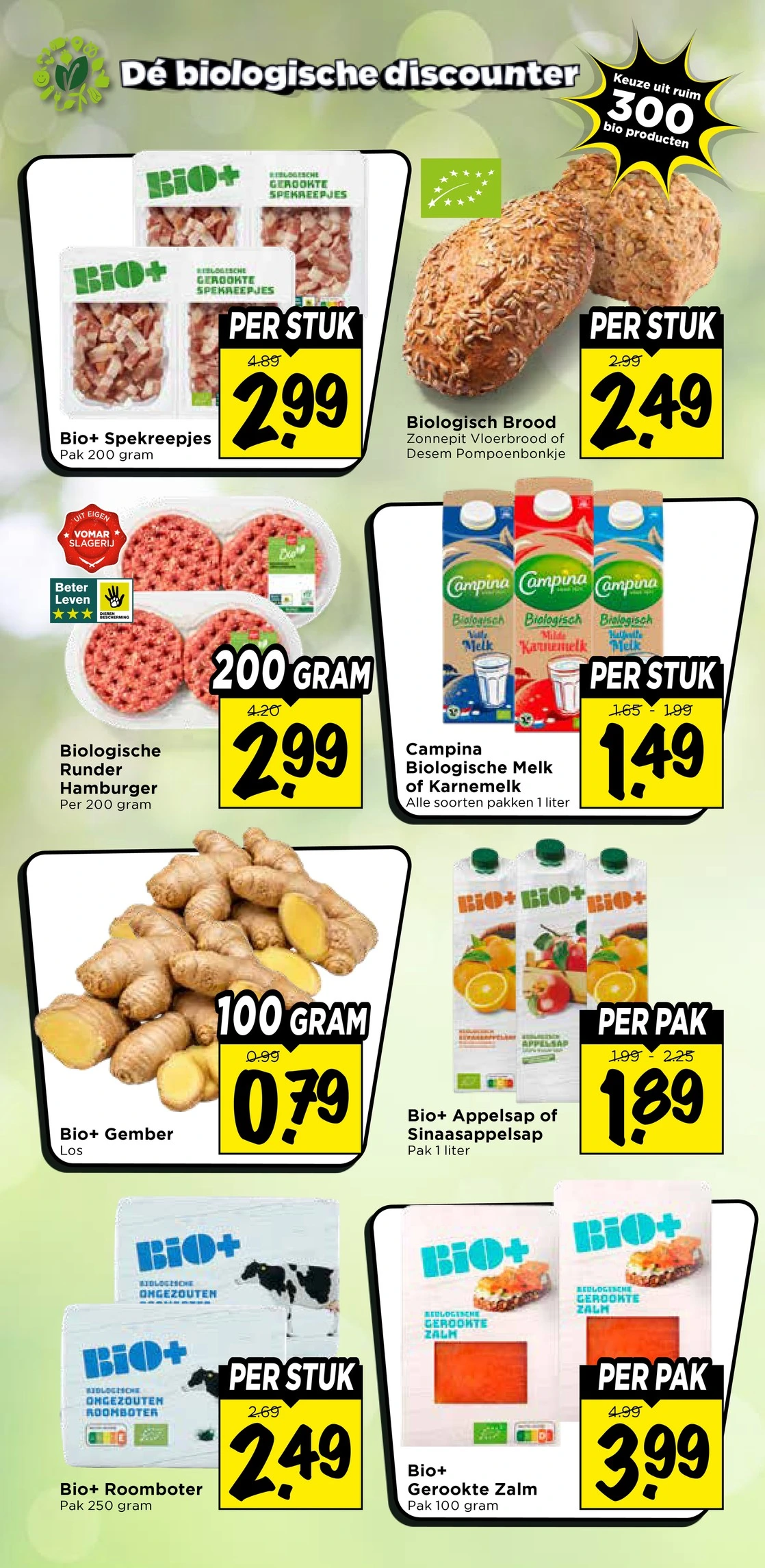 Flyer page 33