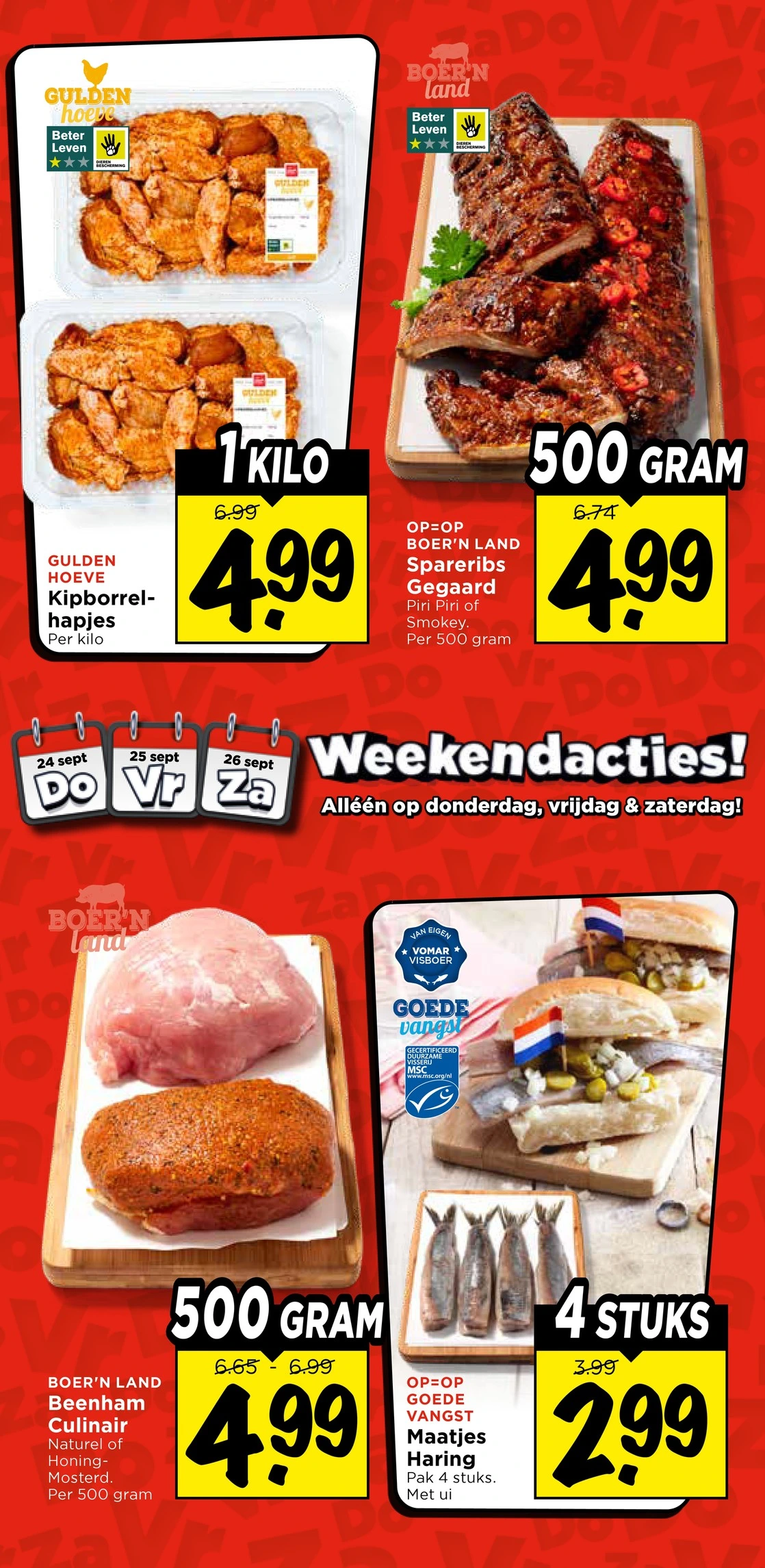 Flyer page 42