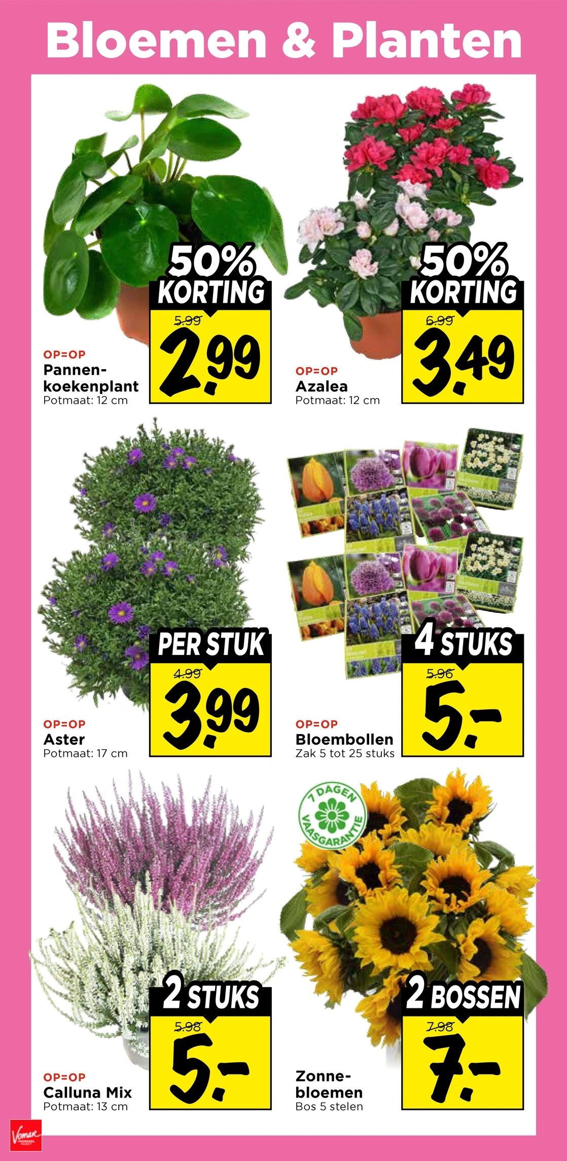 Flyer page 34