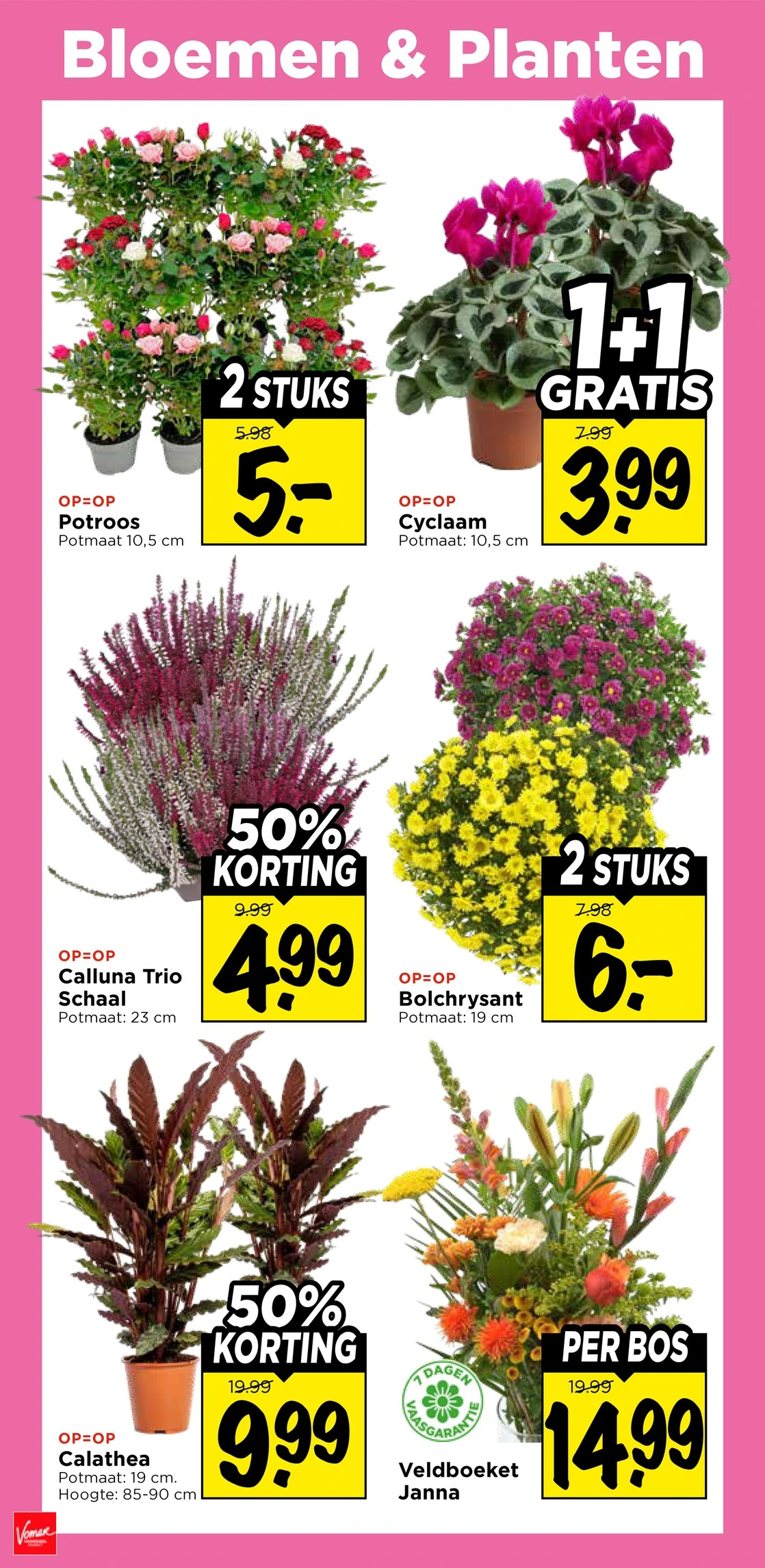 Flyer page 36