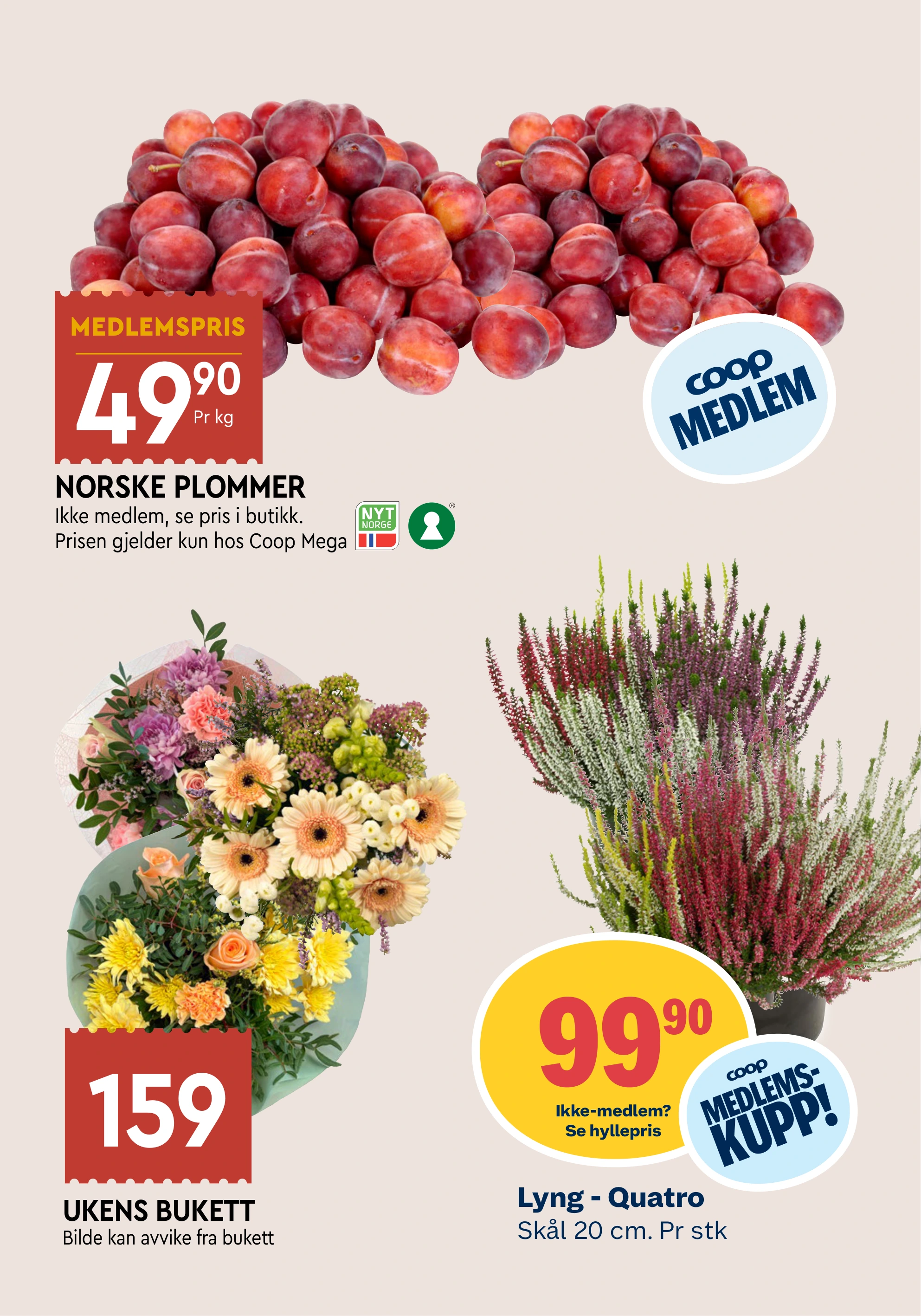 Flyer page 10