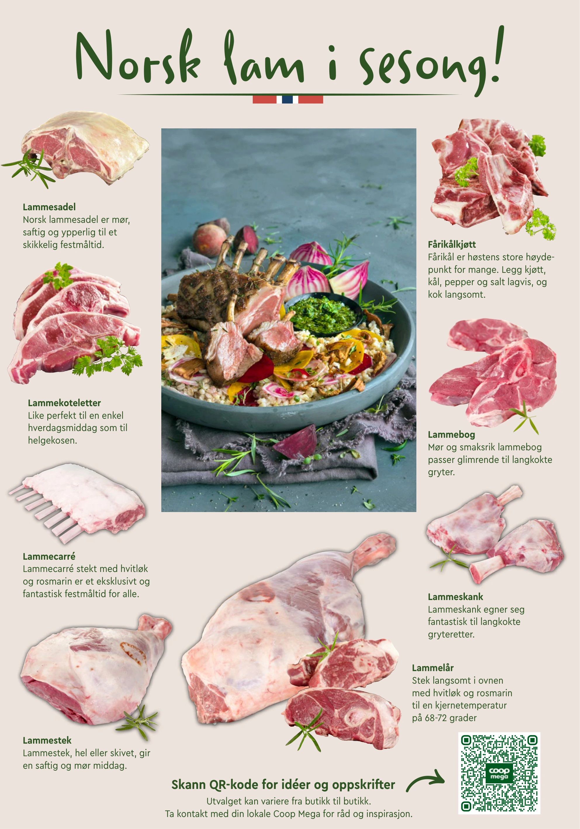 Flyer page 11