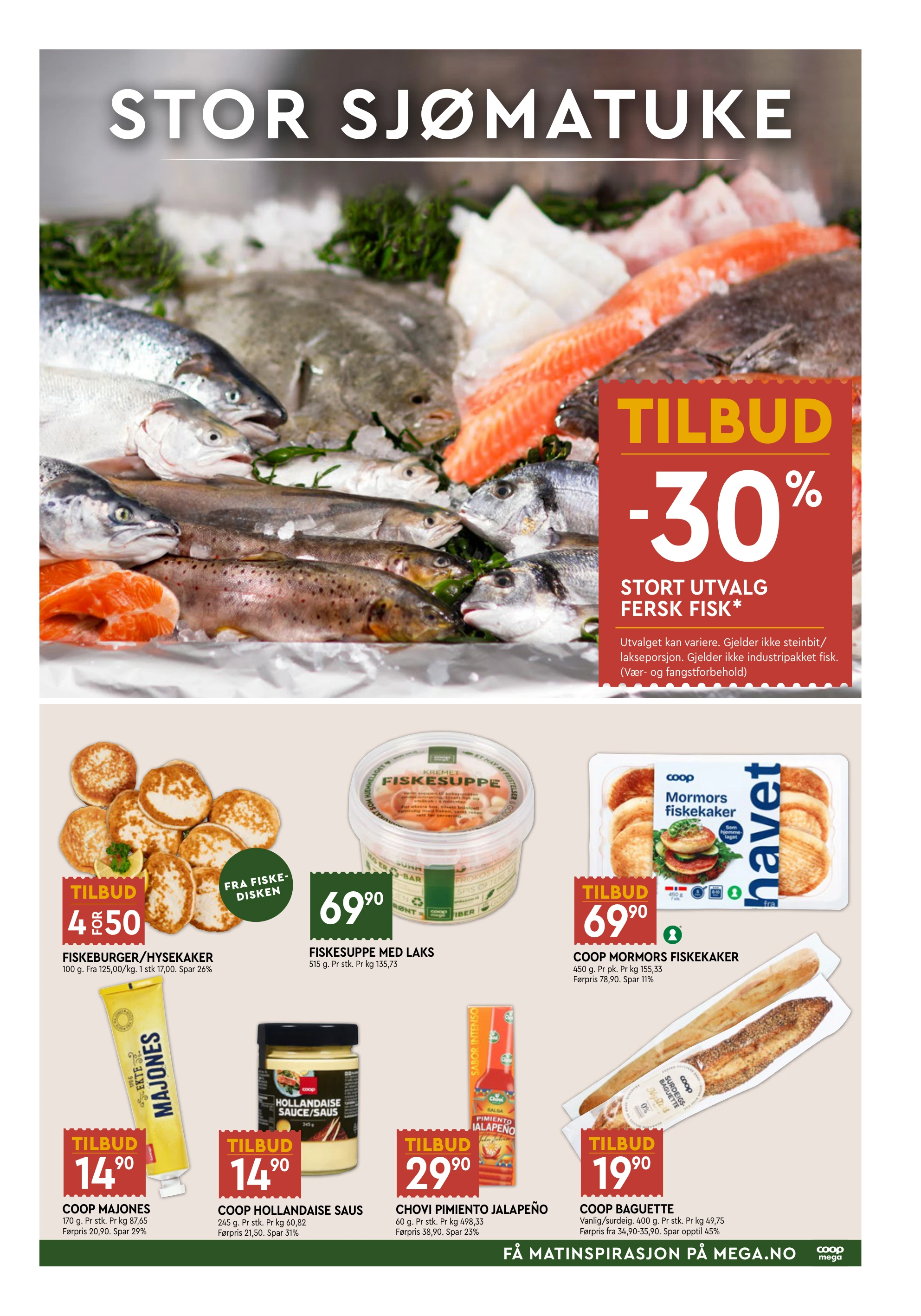 Flyer page 3