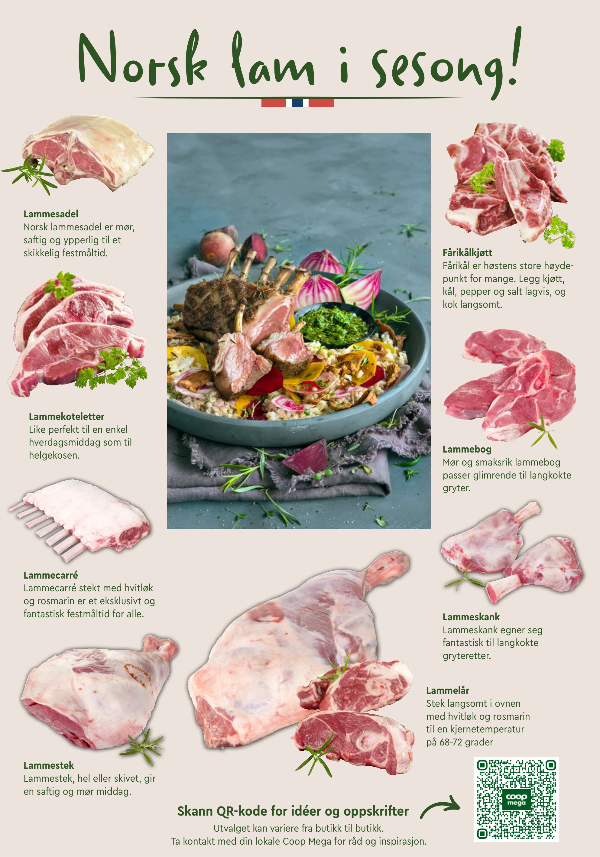 Flyer page 11