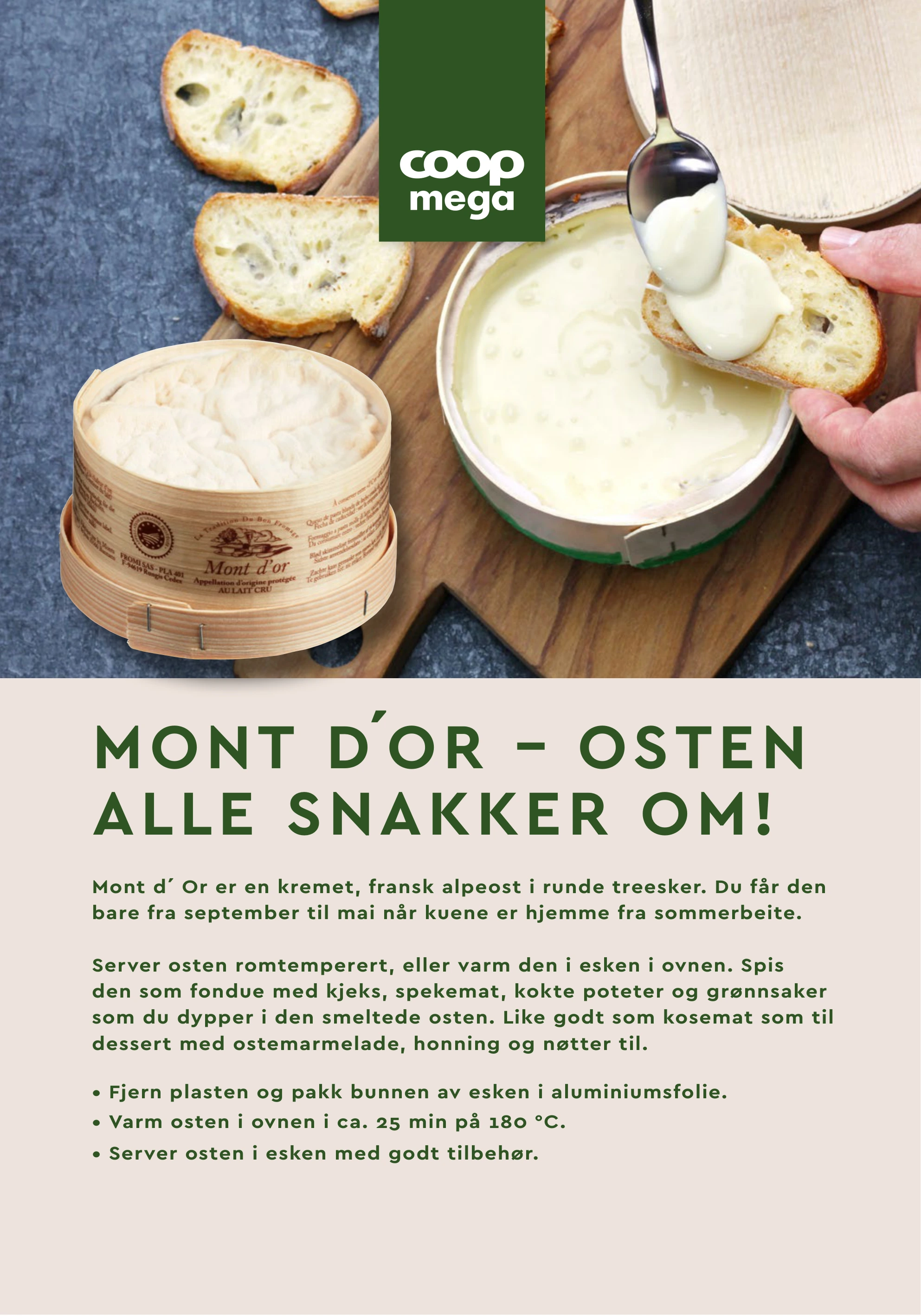 Flyer page 10