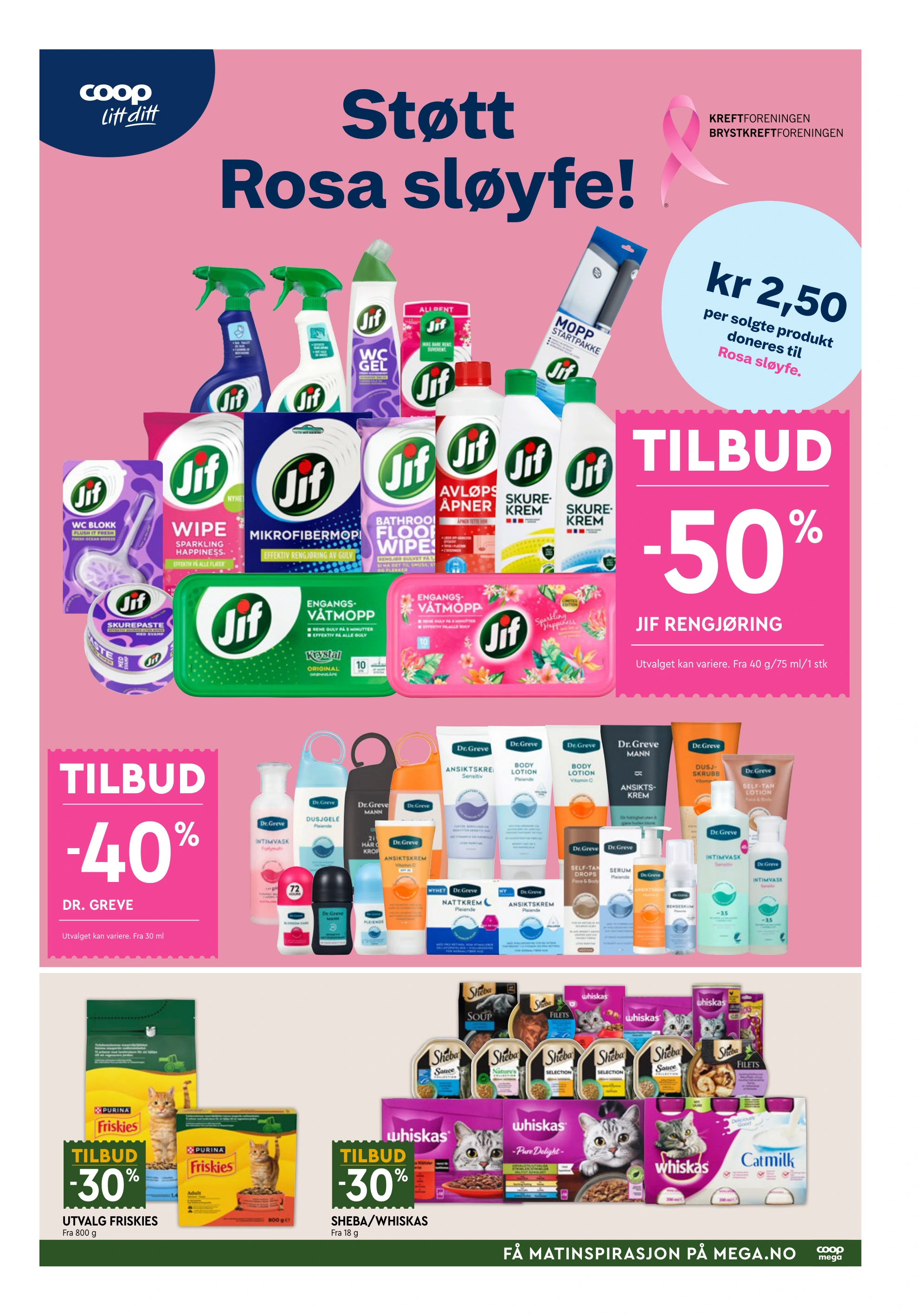Flyer page 7