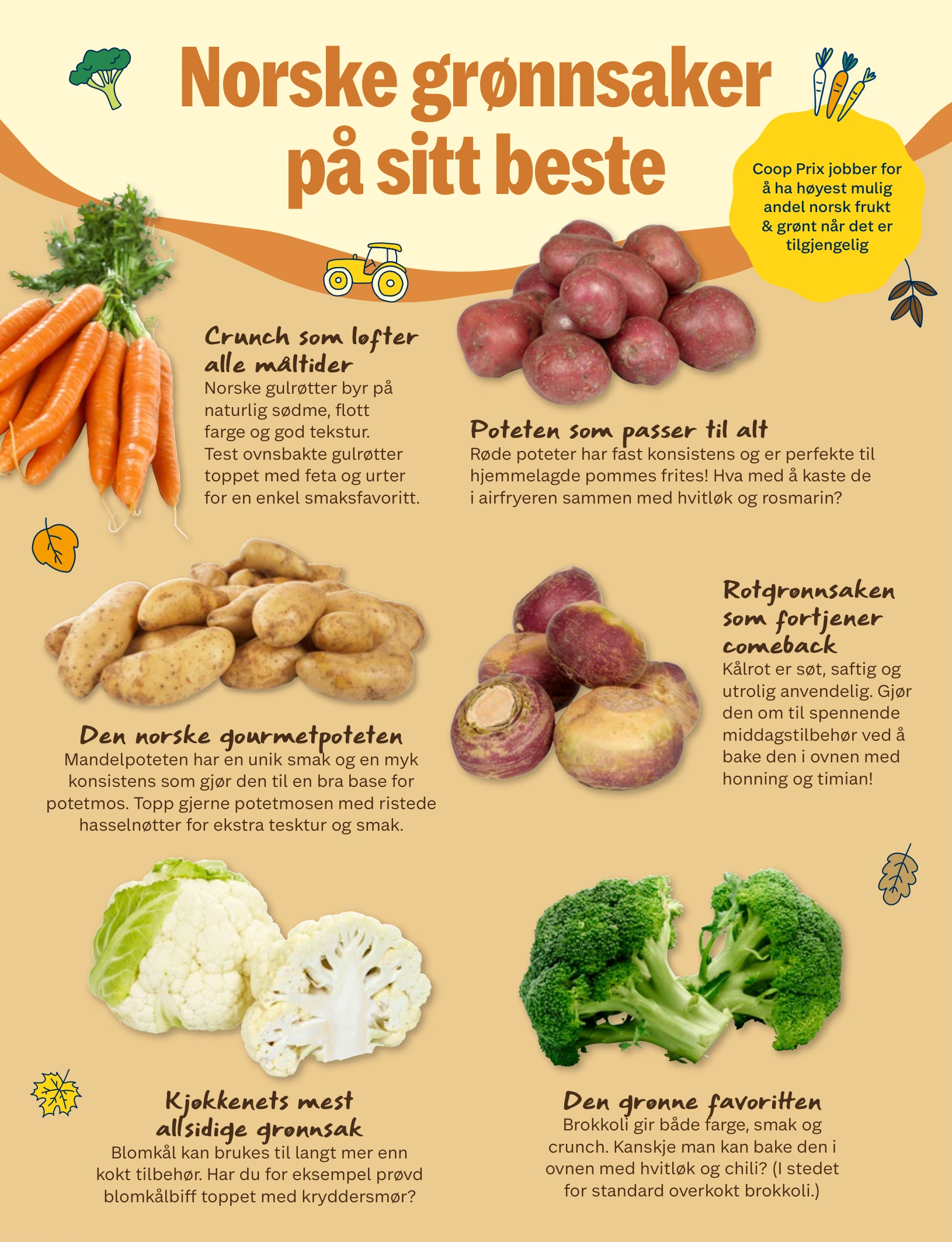 Flyer page 14