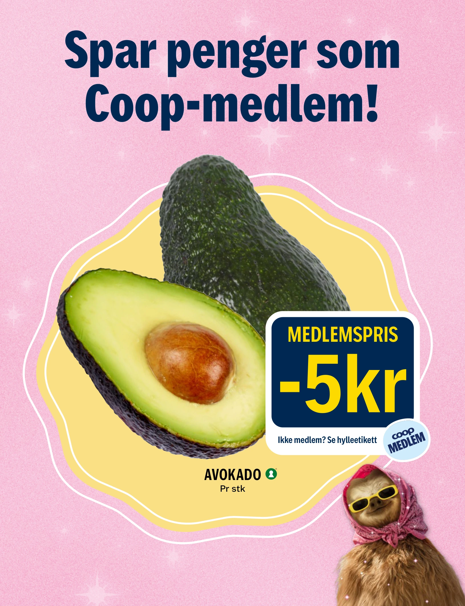 Flyer page 18