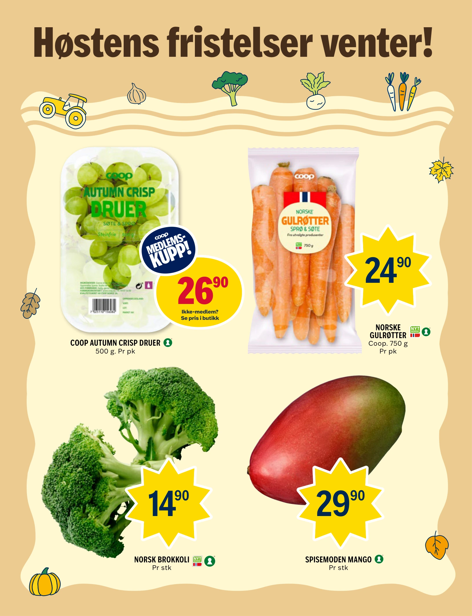 Flyer page 4