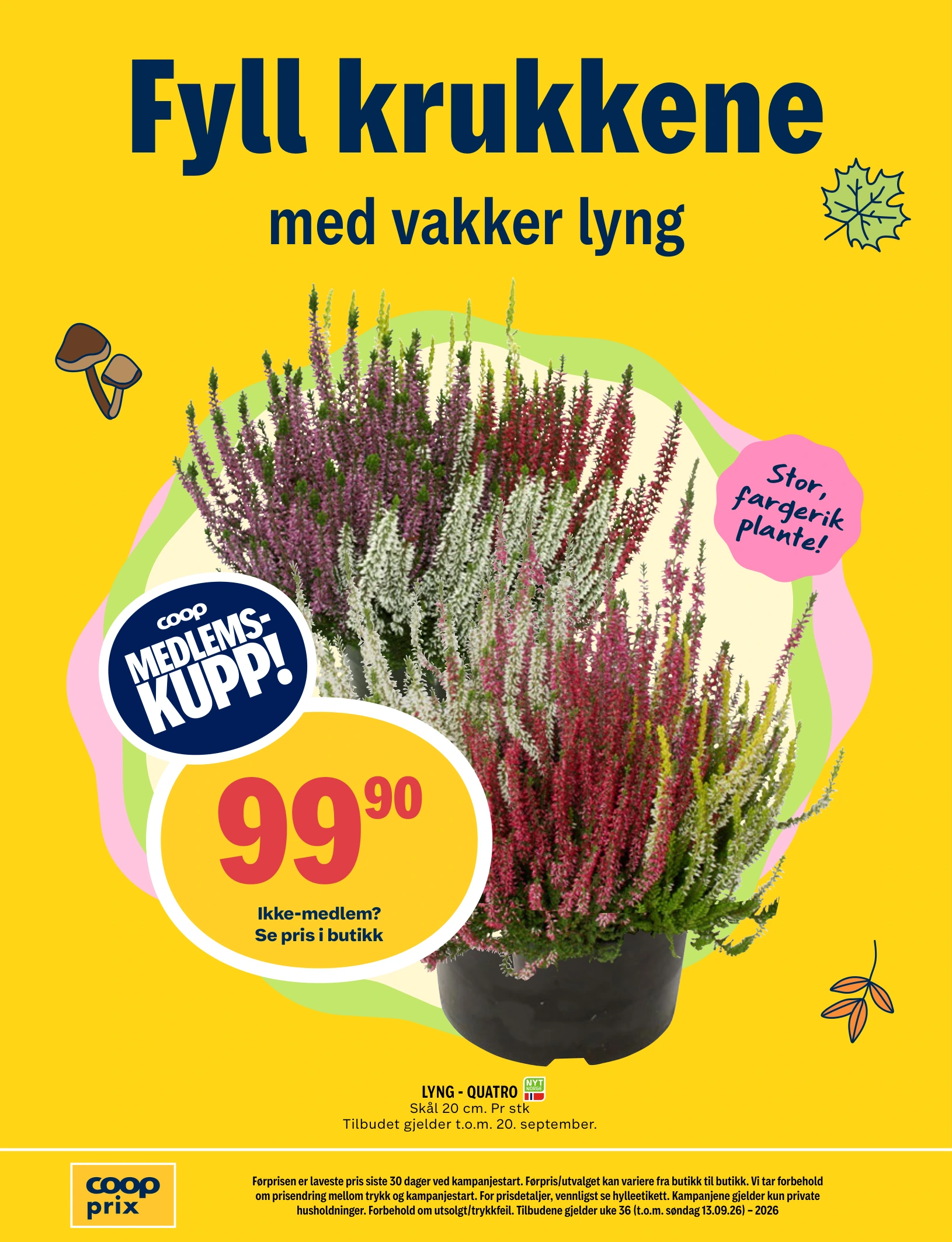 Flyer page 16