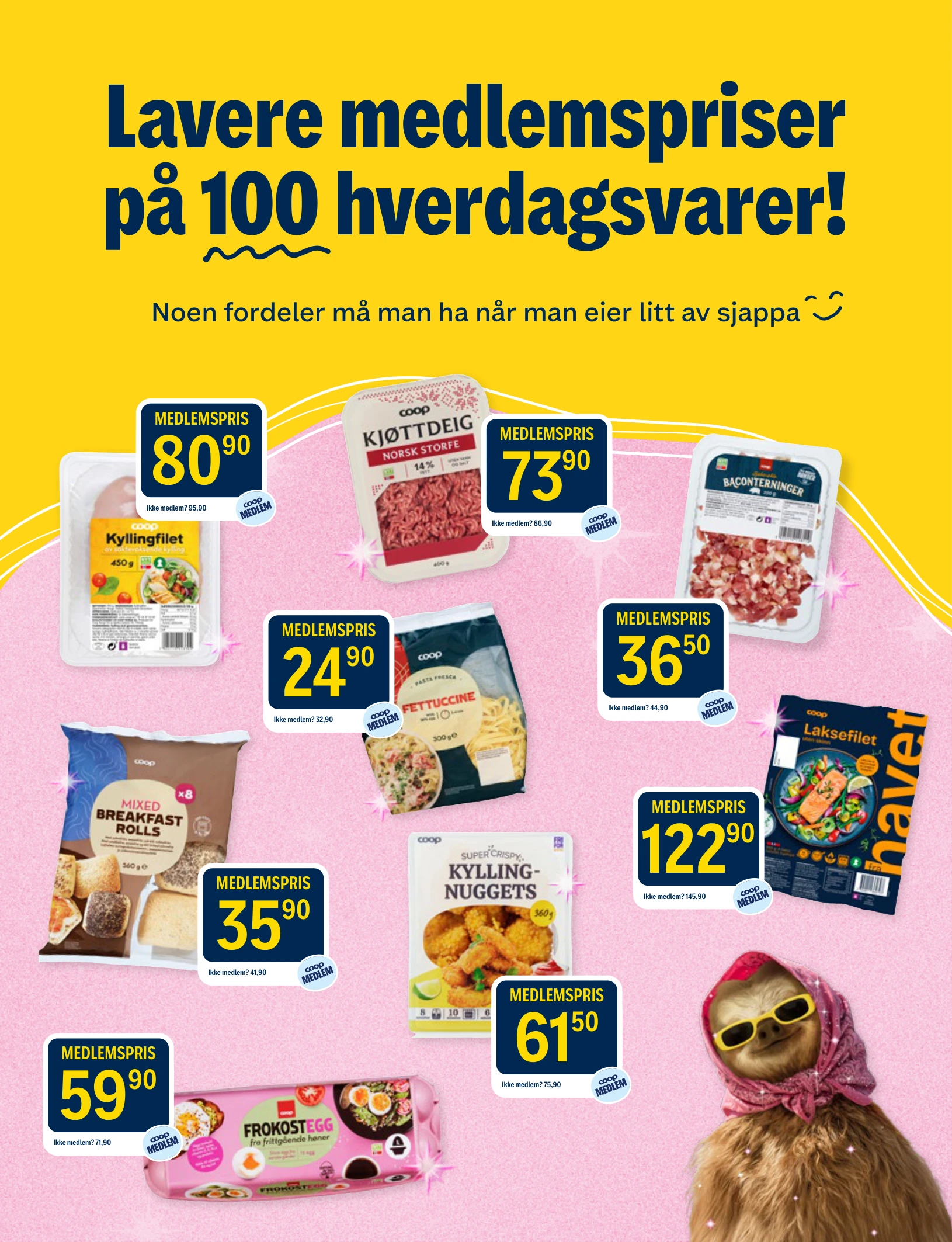 Flyer page 17