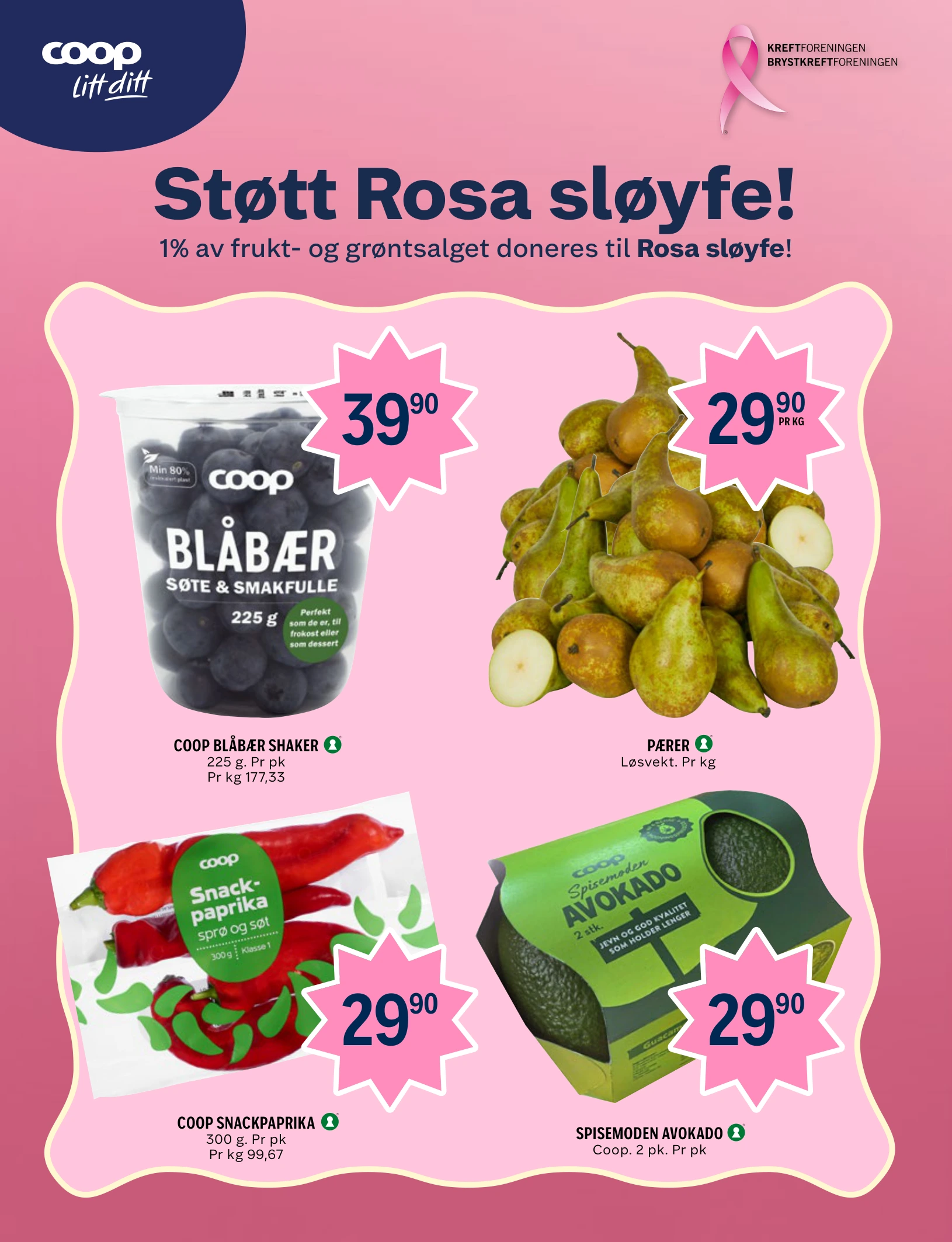 Flyer page 5