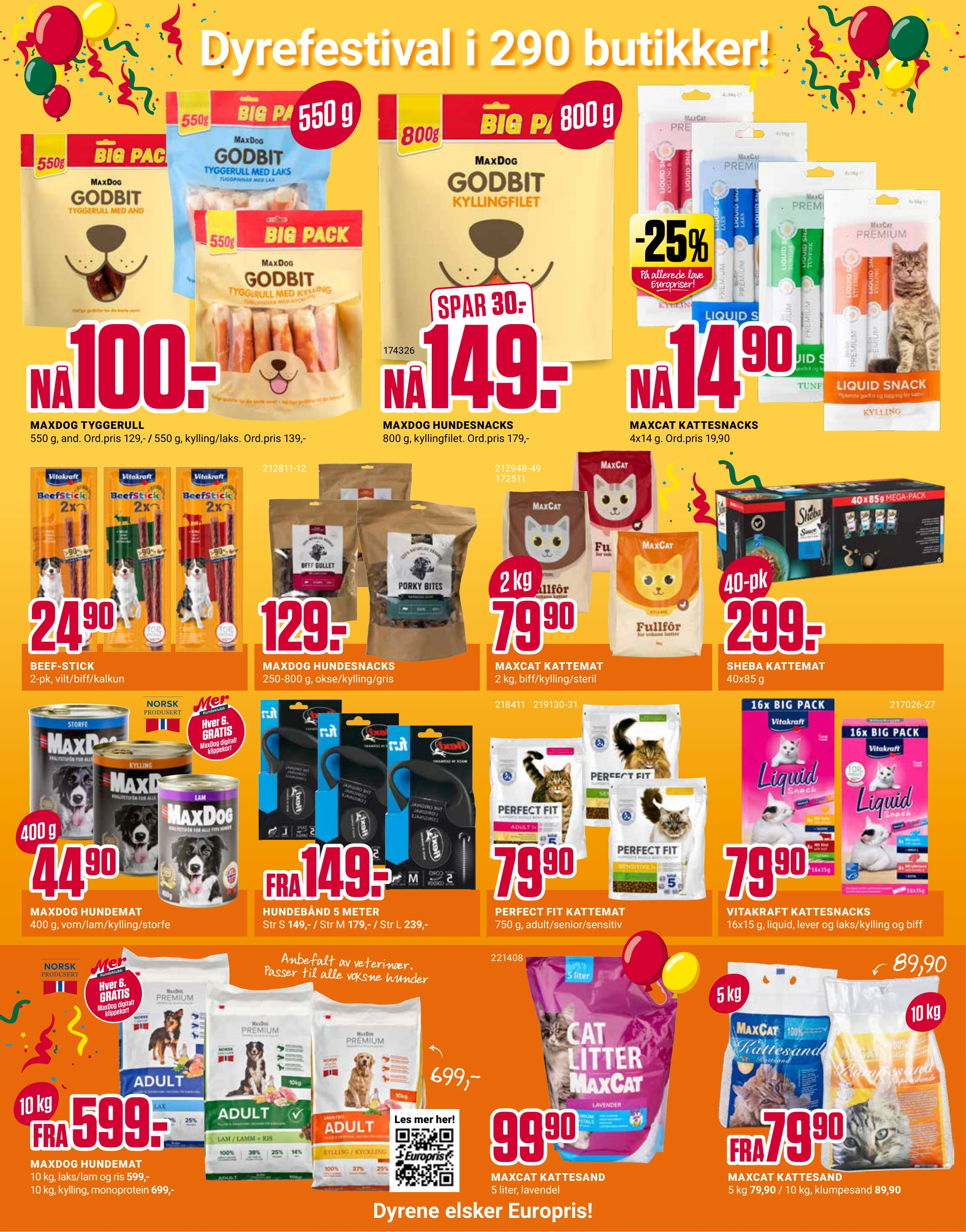 Flyer page 10