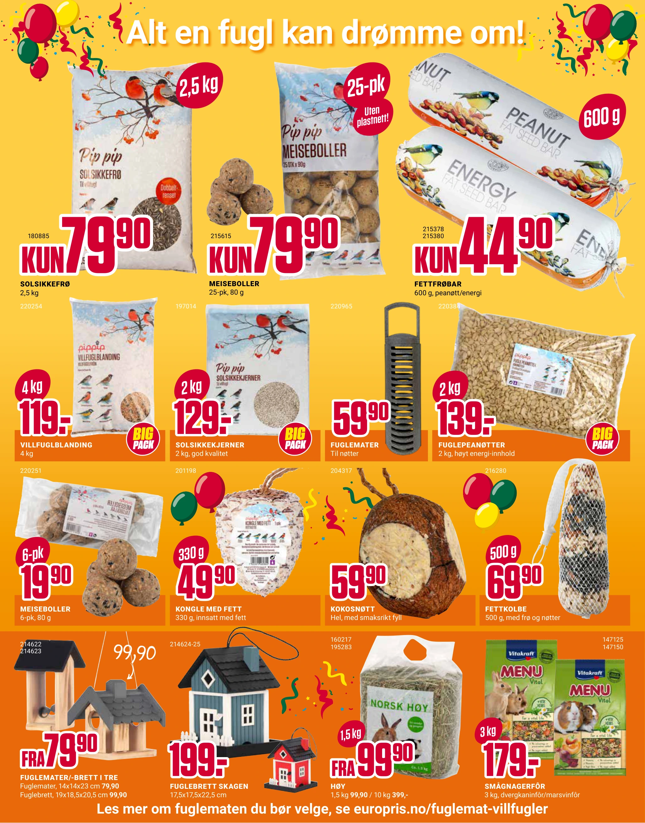 Flyer page 11