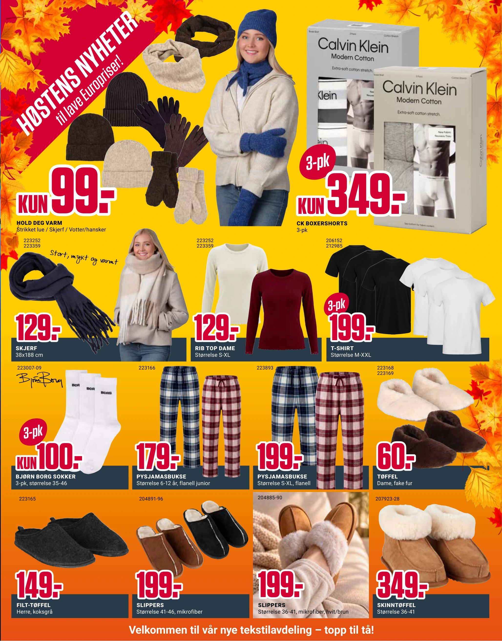 Flyer page 7