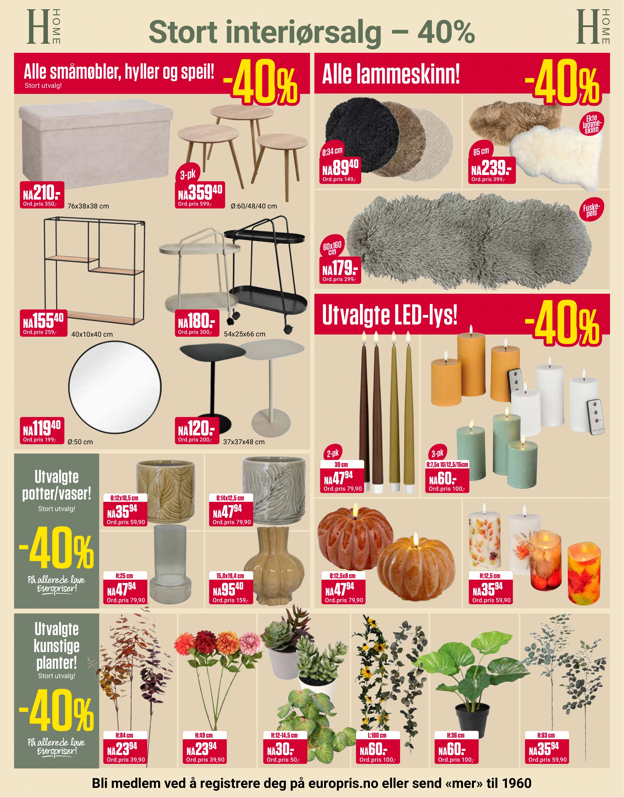 Flyer page 8