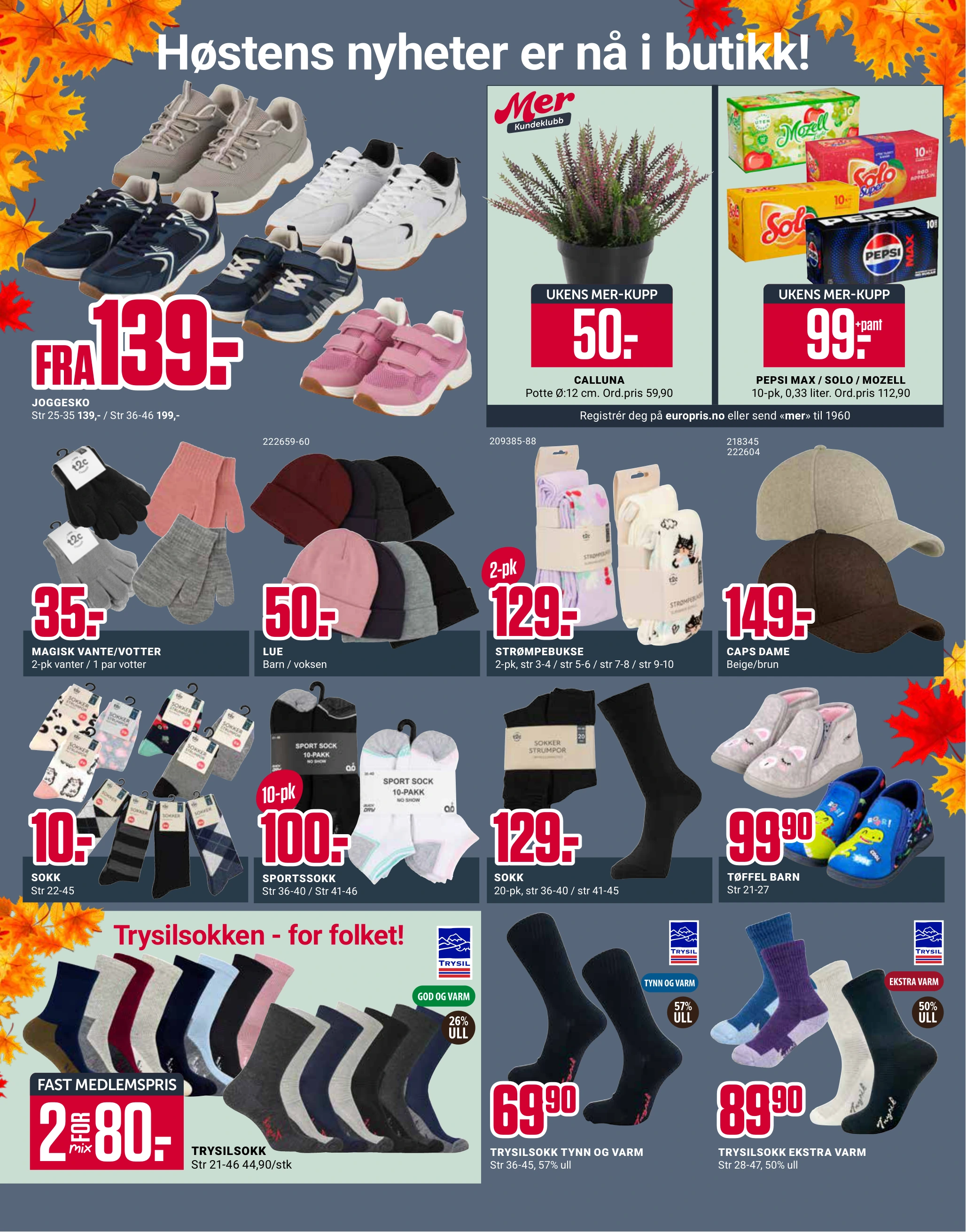 Flyer page 12