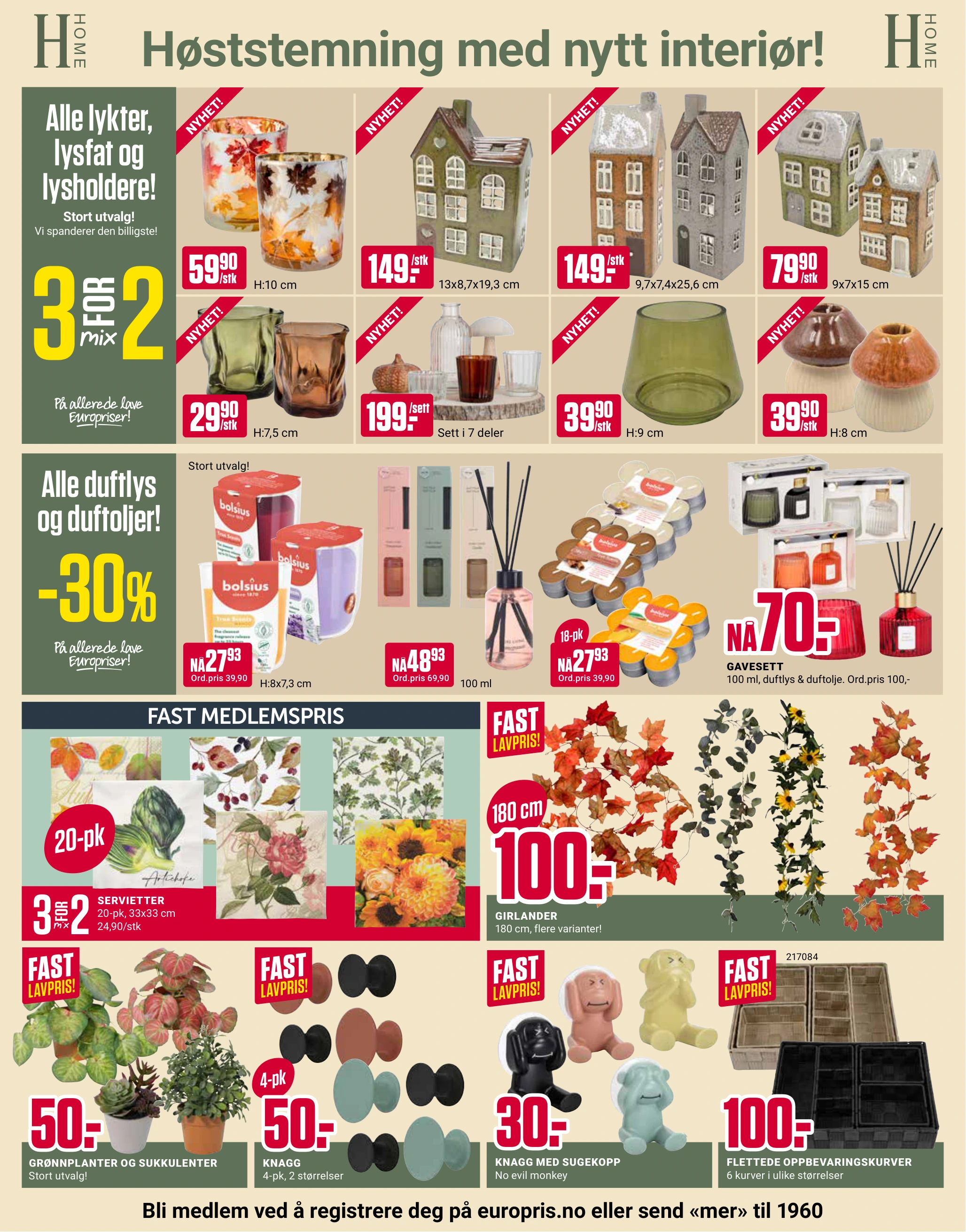 Flyer page 10