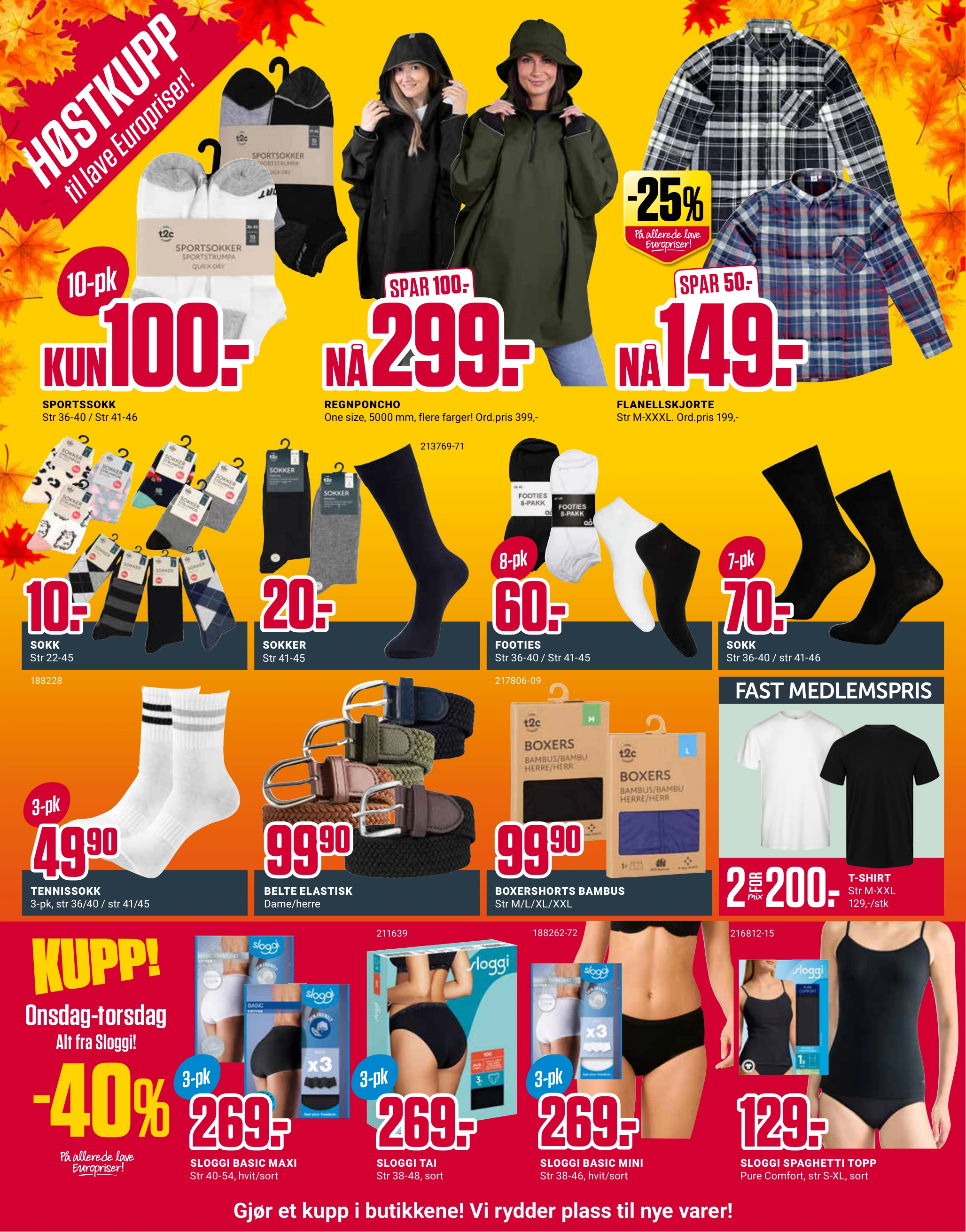 Flyer page 2