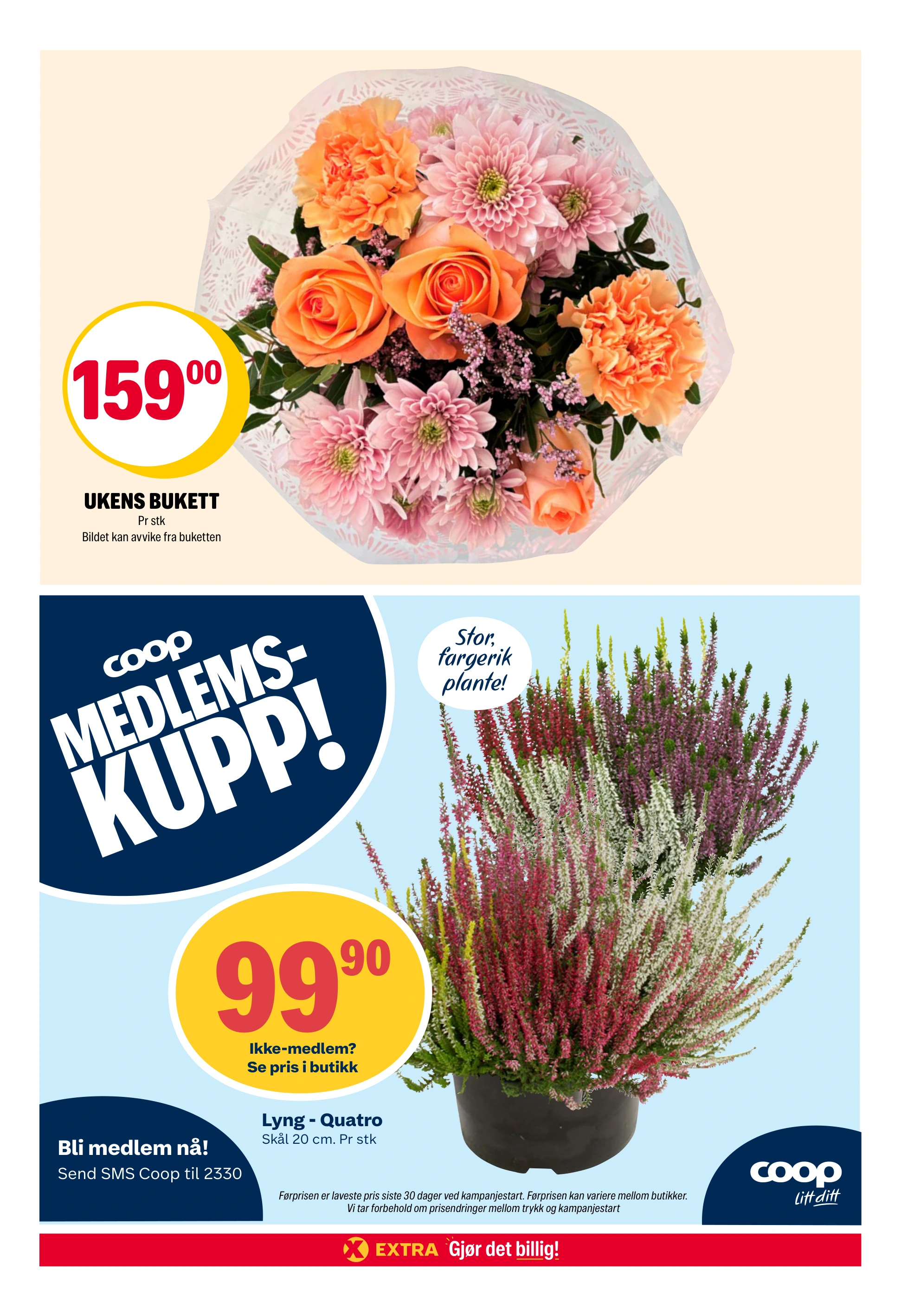 Flyer page 27