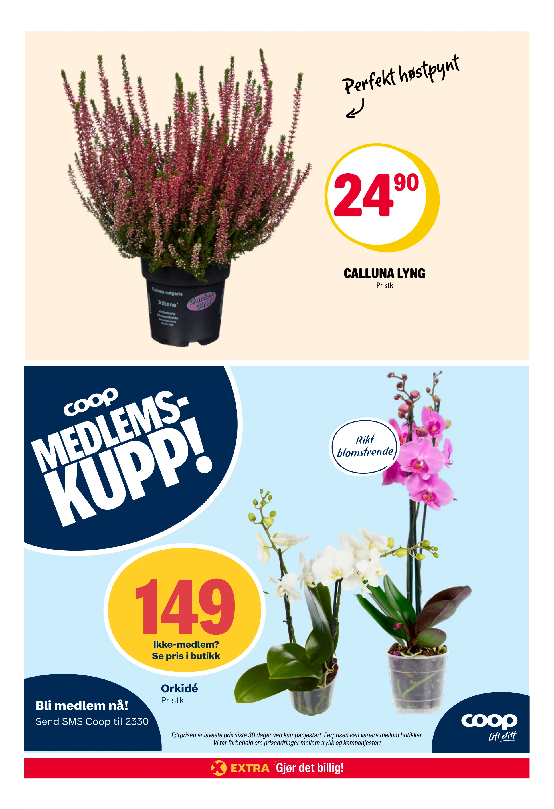 Flyer page 31