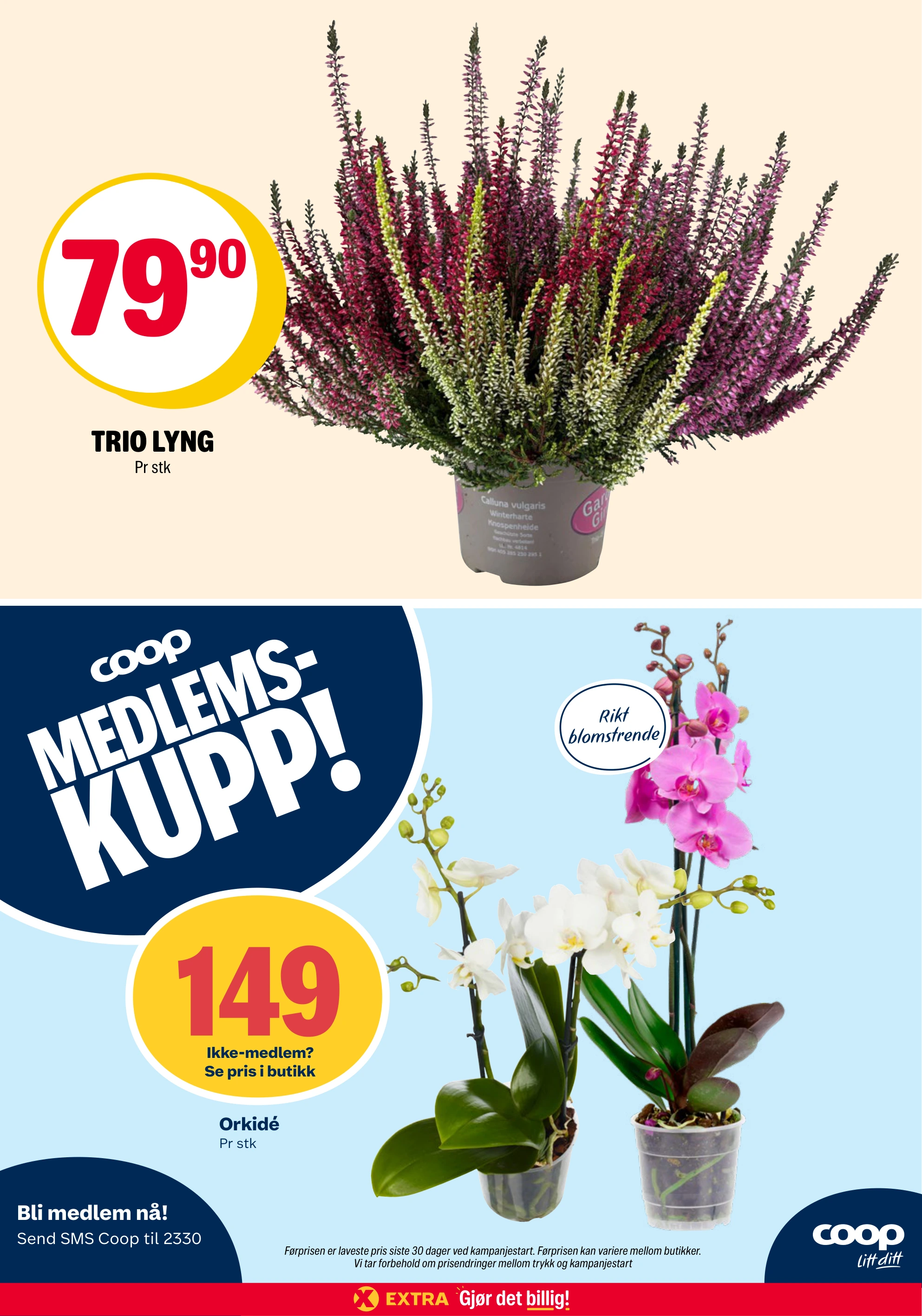 Flyer page 28