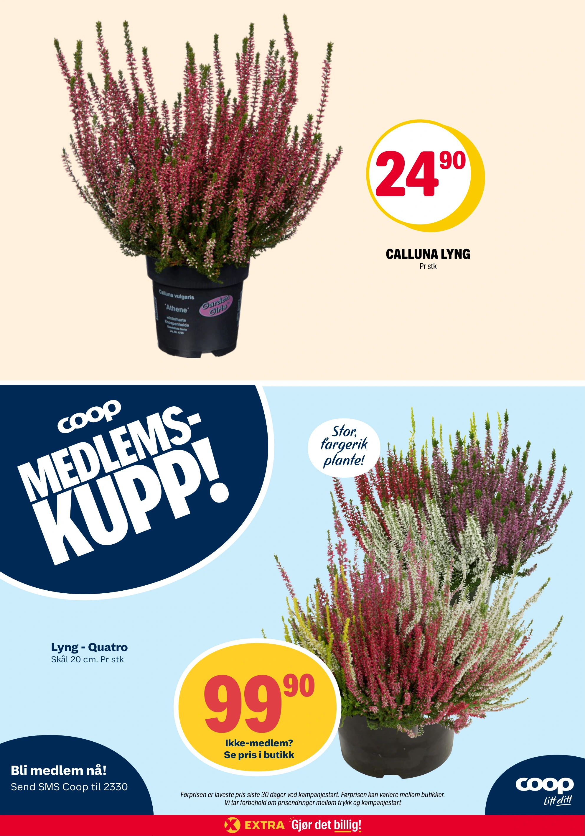 Flyer page 31