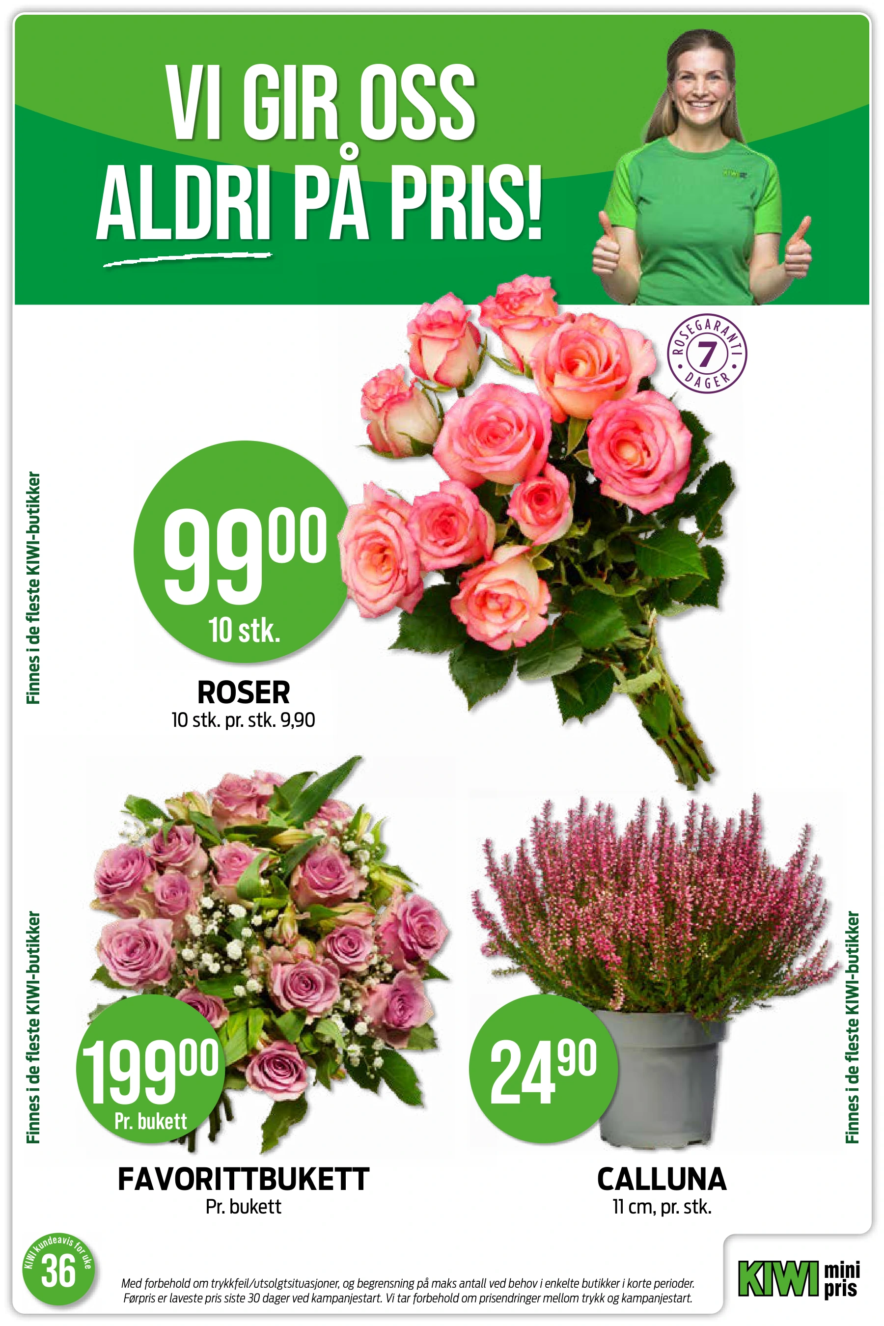 Flyer page 5