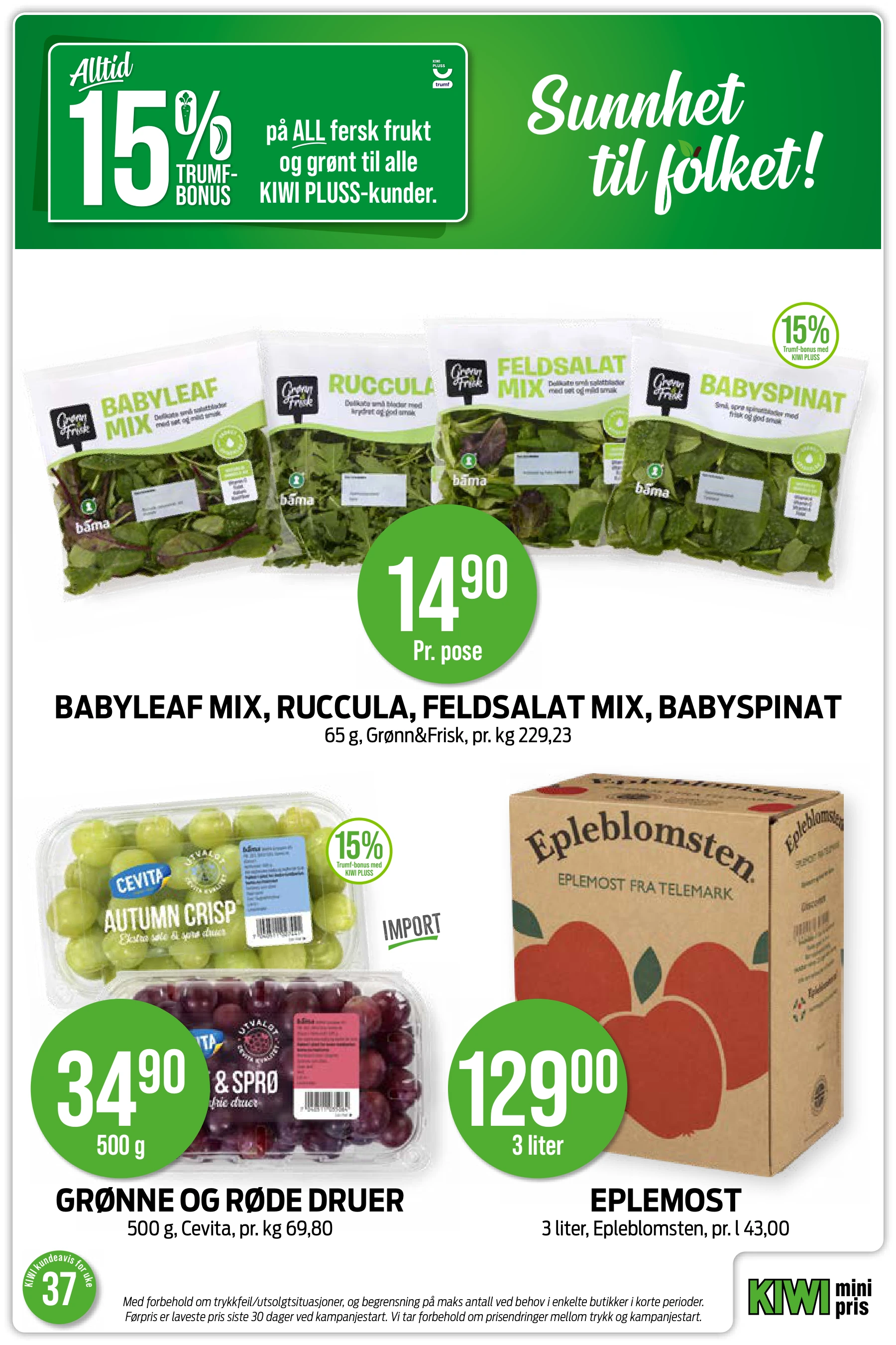 Flyer page 12