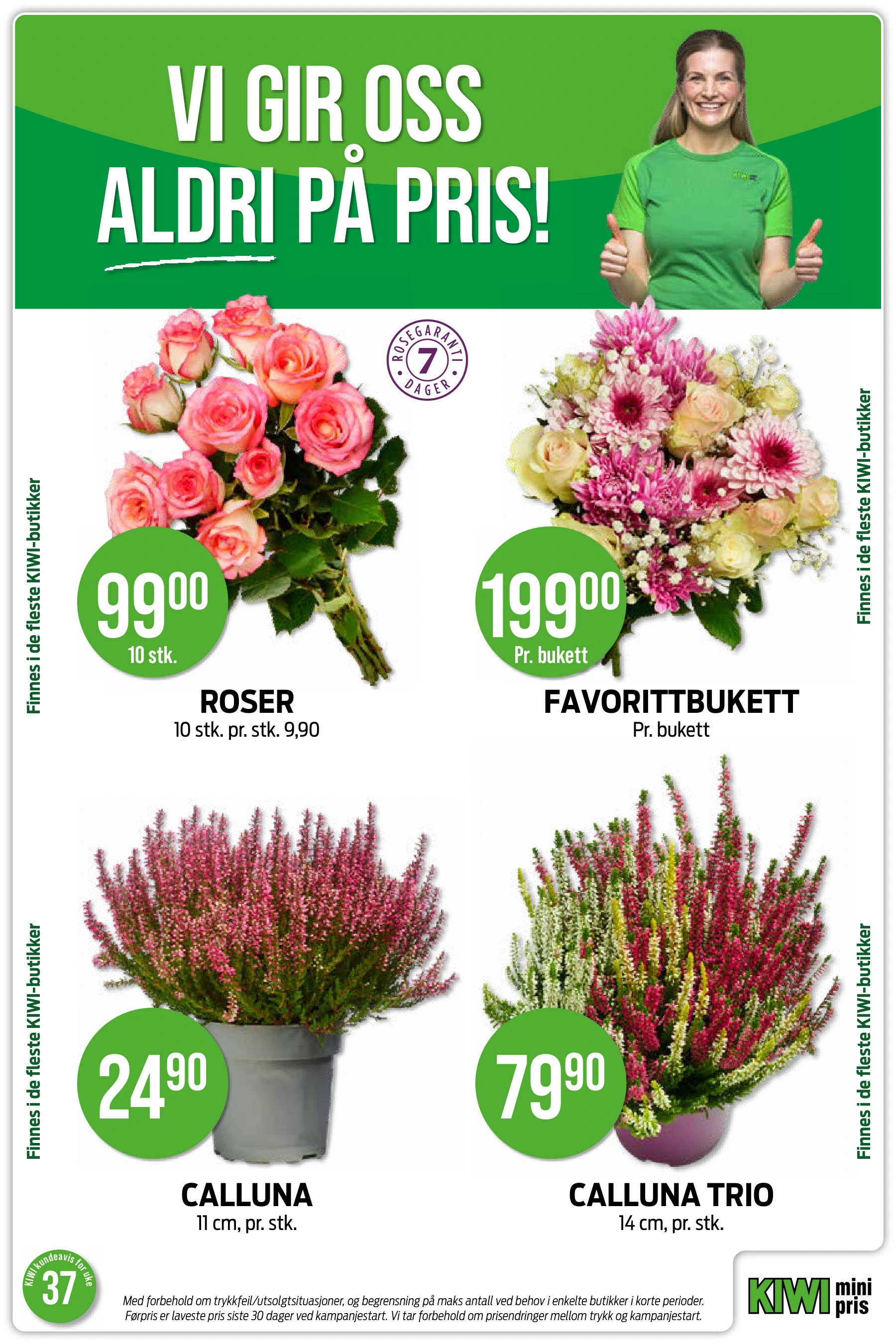 Flyer page 13