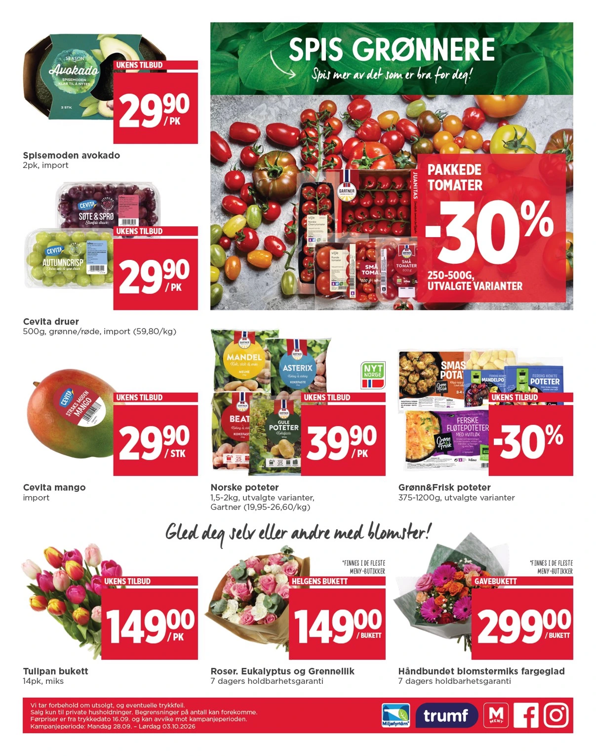 Flyer page 6