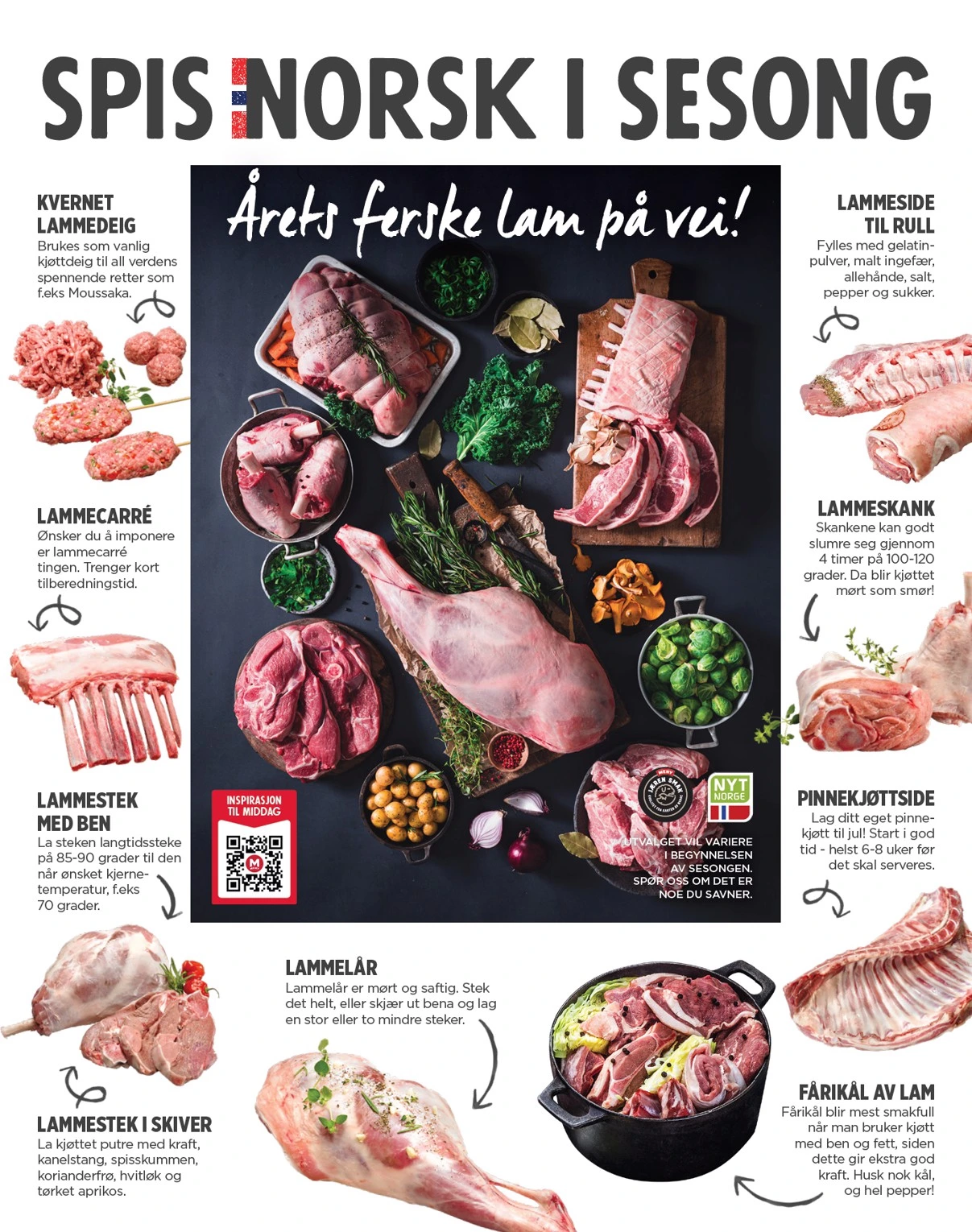 Flyer page 4