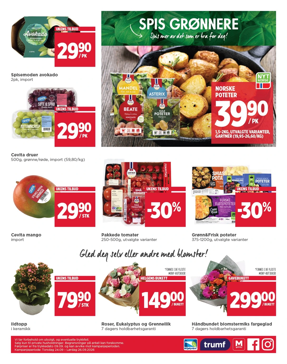 Flyer page 8