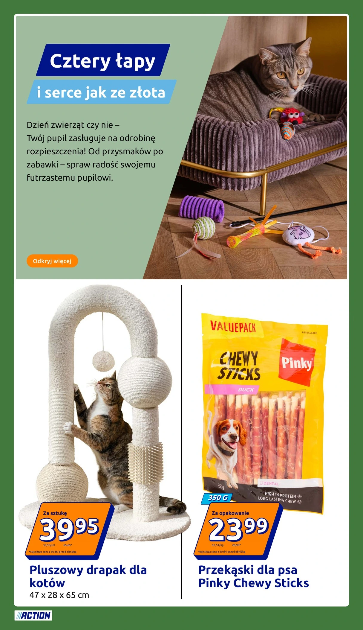 Flyer page 31