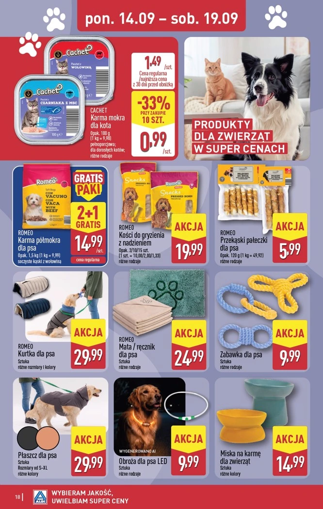Flyer page 18