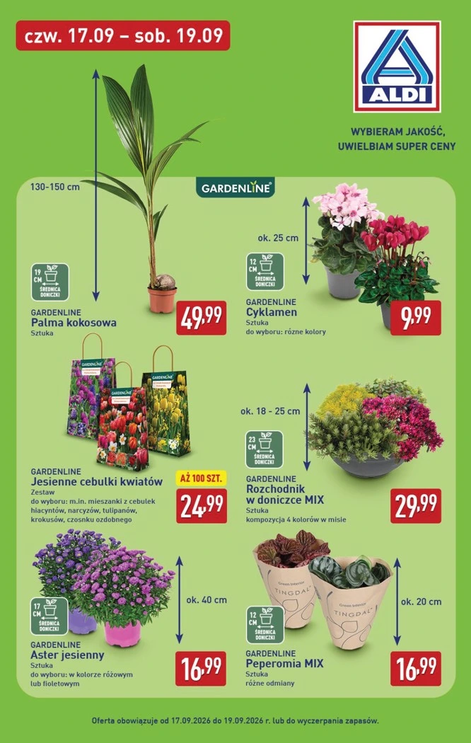 Flyer page 33