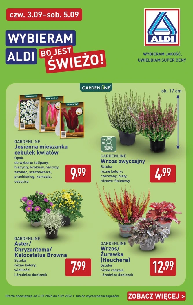Flyer page 38
