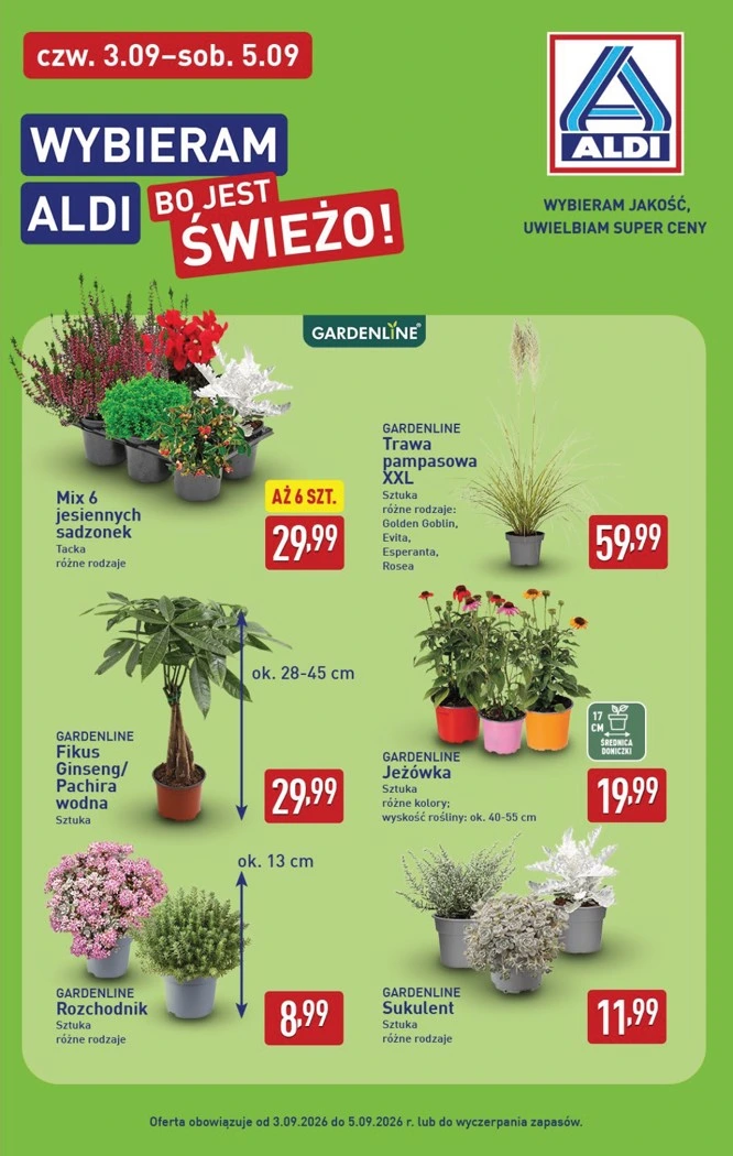 Flyer page 39