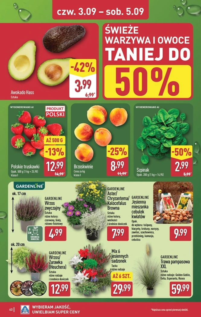 Flyer page 40